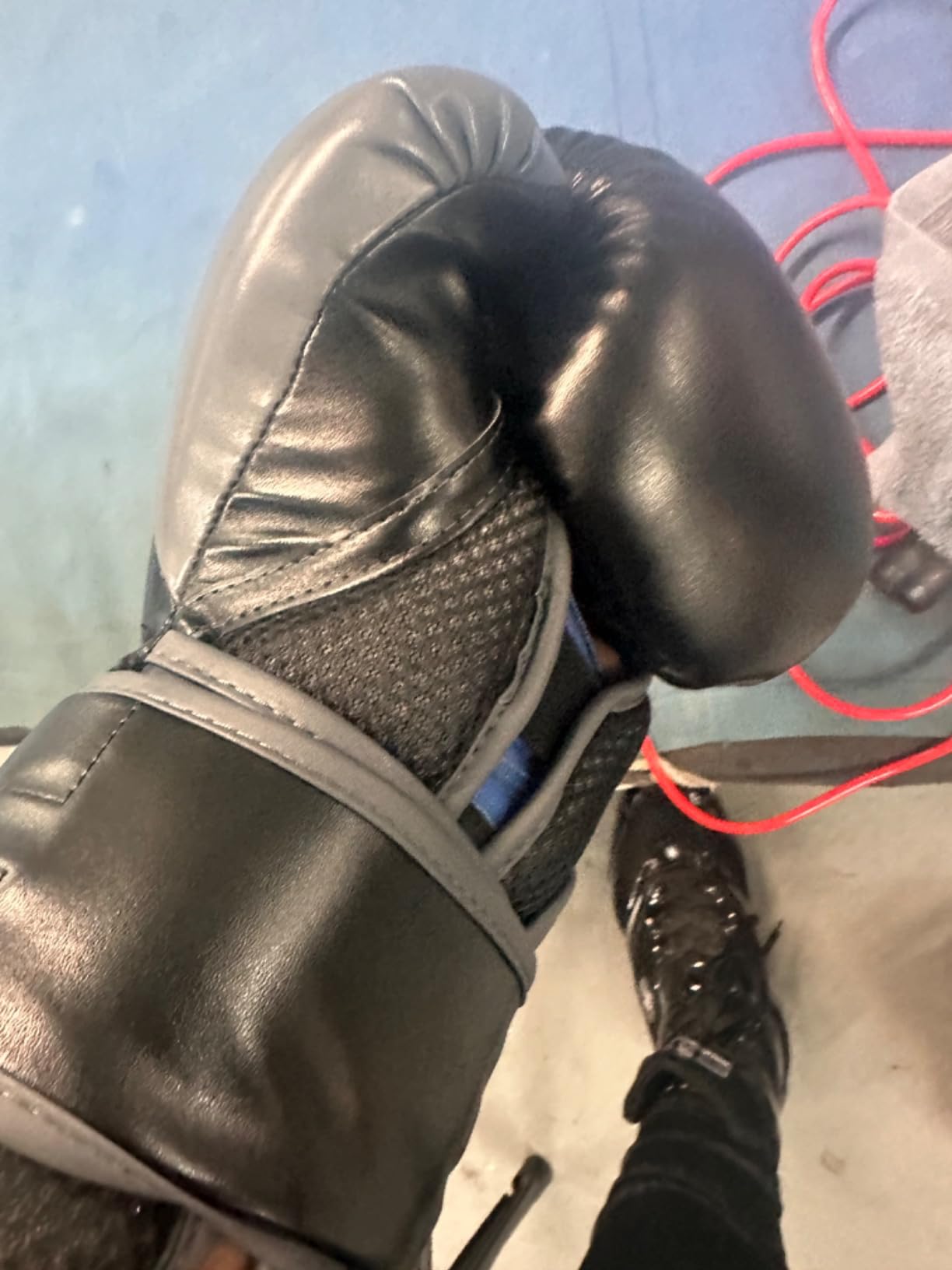 Everlast Powerlock 2 Hook & Loop Boxing Gloves - Fight Training Gloves with Durable Hand & Wrist Support, Heavy Bag & Fitness Training customer photo 1