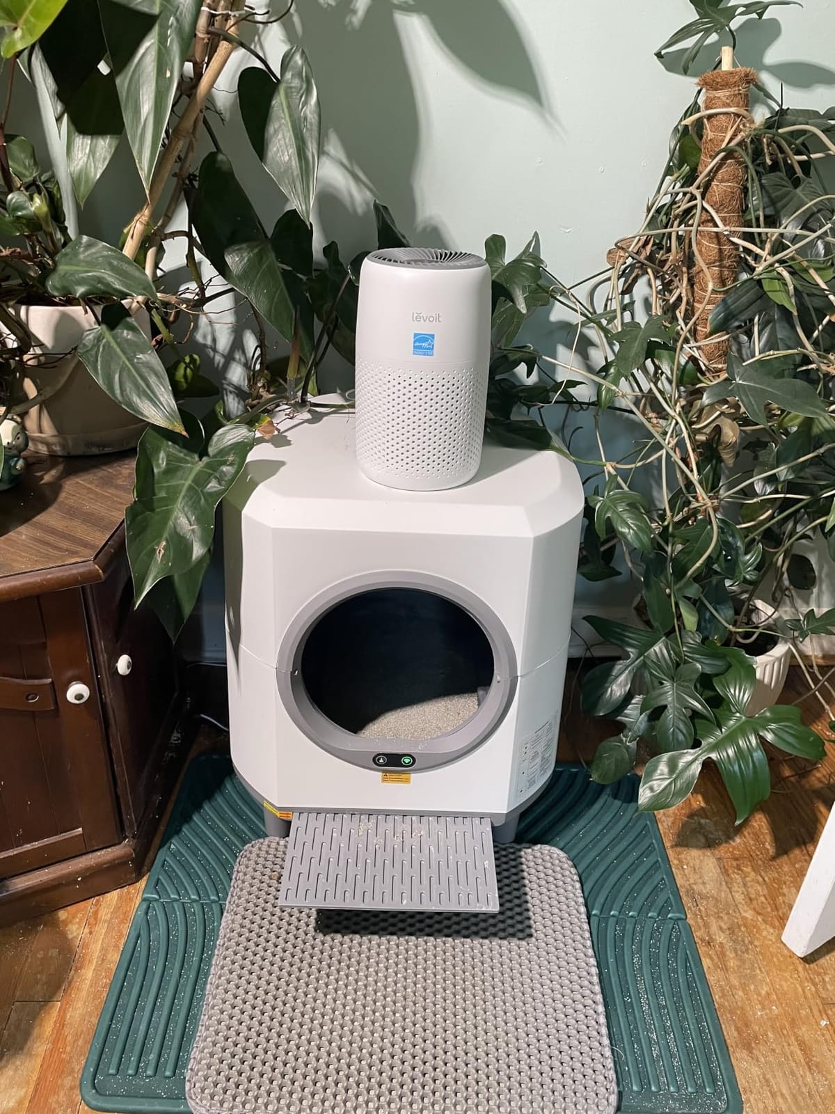 Levoit Air Purifiers for Bedroom Home Pets Dorm Room, Small Air Purifiers, Core Mini-P, White customer photo 2