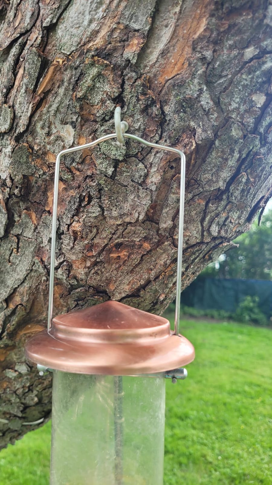 iBorn Bird Feeders for Outdoors 15