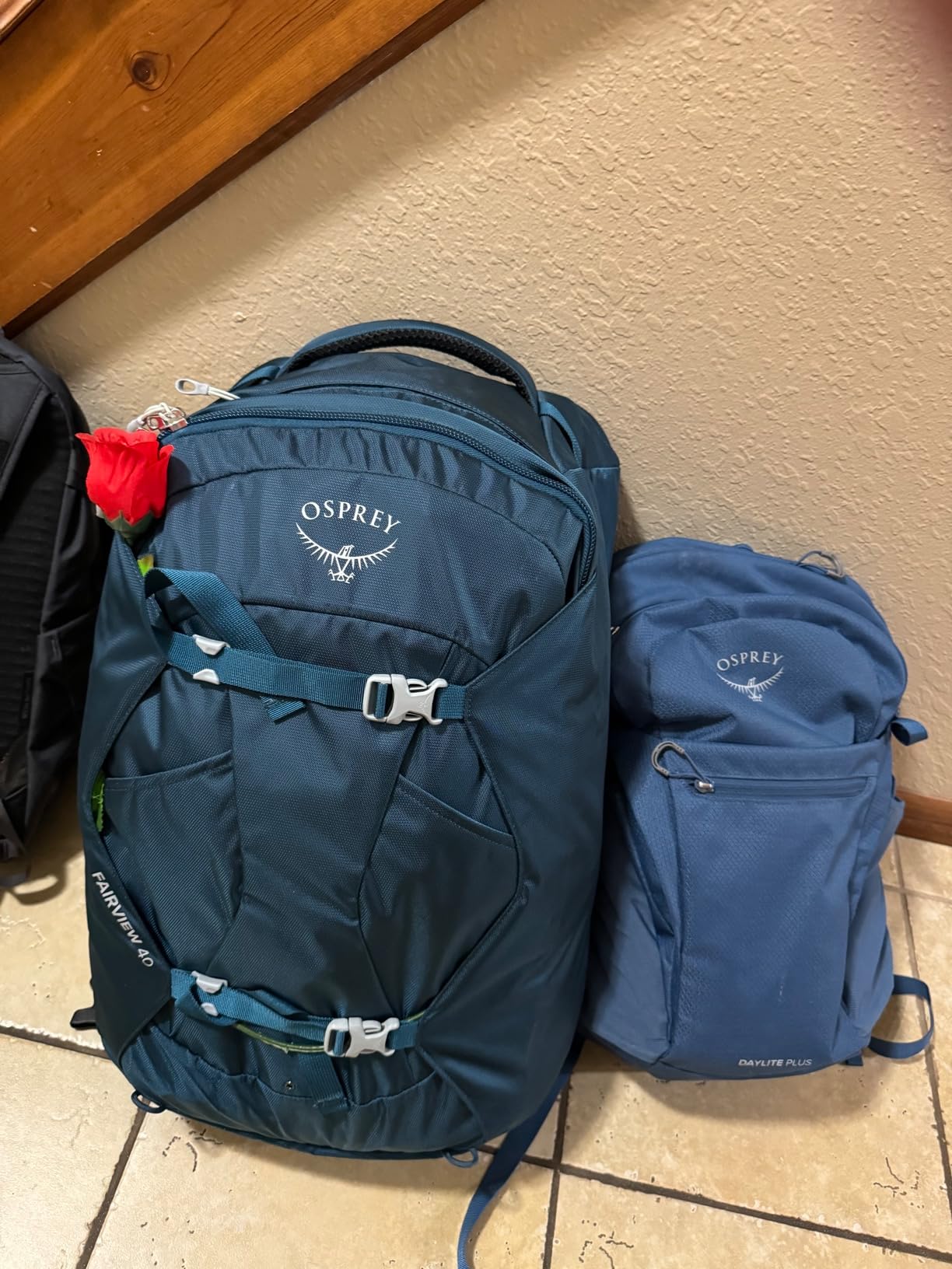 Osprey Fairview 40L Women's Travel Backpack, Night Jungle Blue customer photo 2