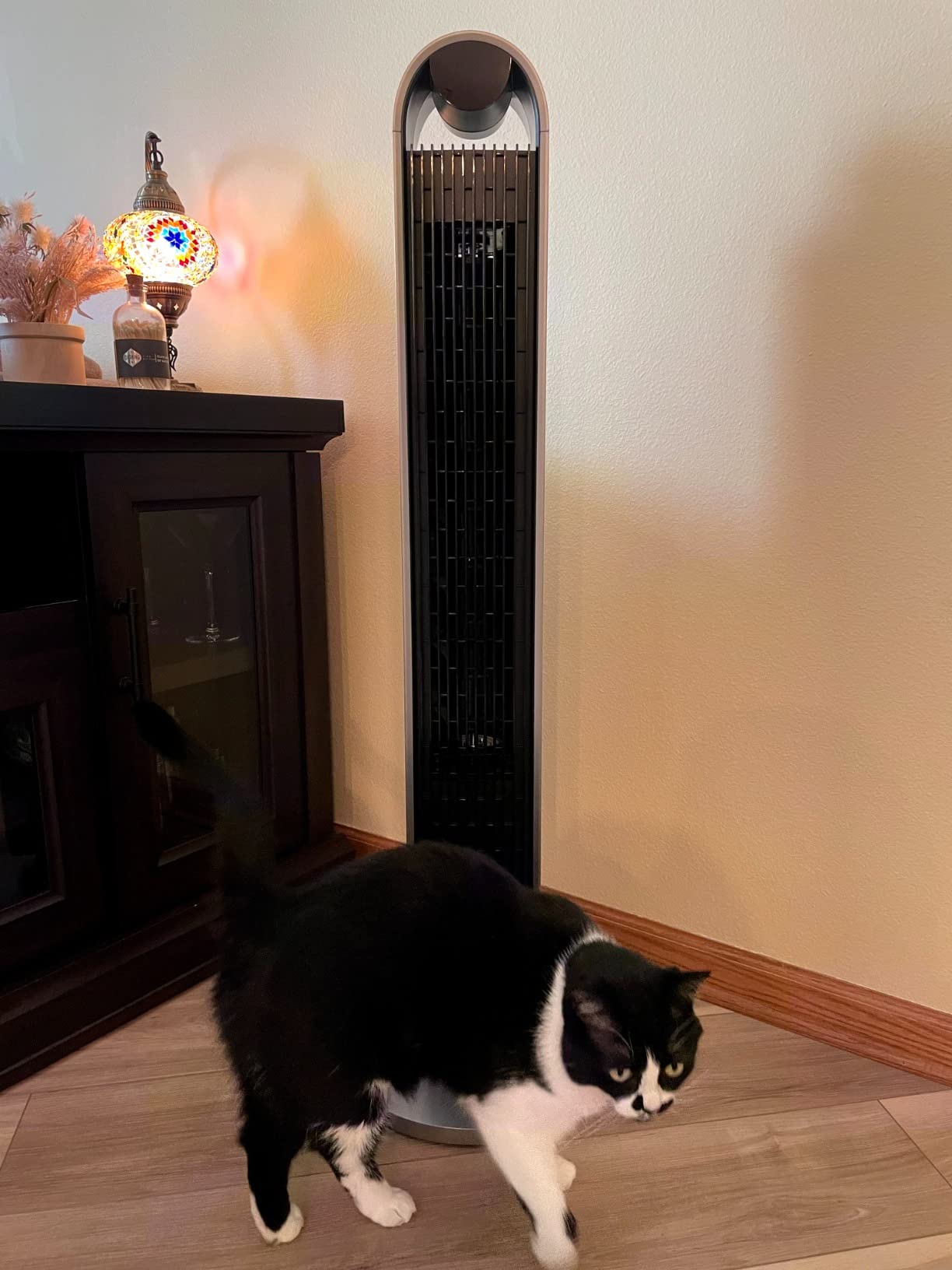 DREO Smart Tower Fan for Bedroom, 120° Oscillating Fan, 12 Speeds | 28ft/s Airflow Quiet Fan, DC Motor, 4 Modes Standing Fan, 12H Timer Cooling Fan for Home, Living Room, App & Alexa Control customer photo 2
