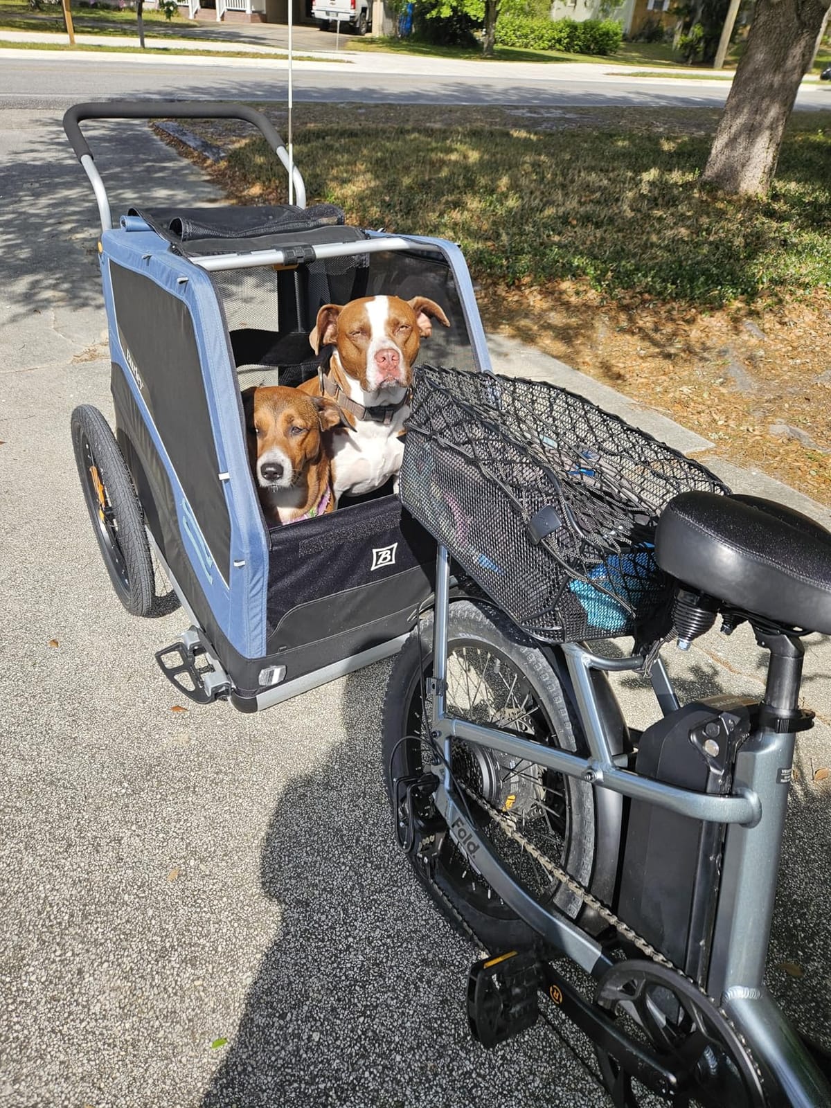 Burley Bark Ranger Pet Bike Trailer customer photo 2