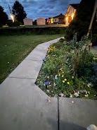 AloftSun Solar Motion Sensor Outdoor Lights, Waterproof Motion Sensor Spot Lights - 30 LED/3 Modes, Solar Powered Spotlights, Landscape Lighting for Yard and Garden, Cool White, 2 Pack customer photo 2