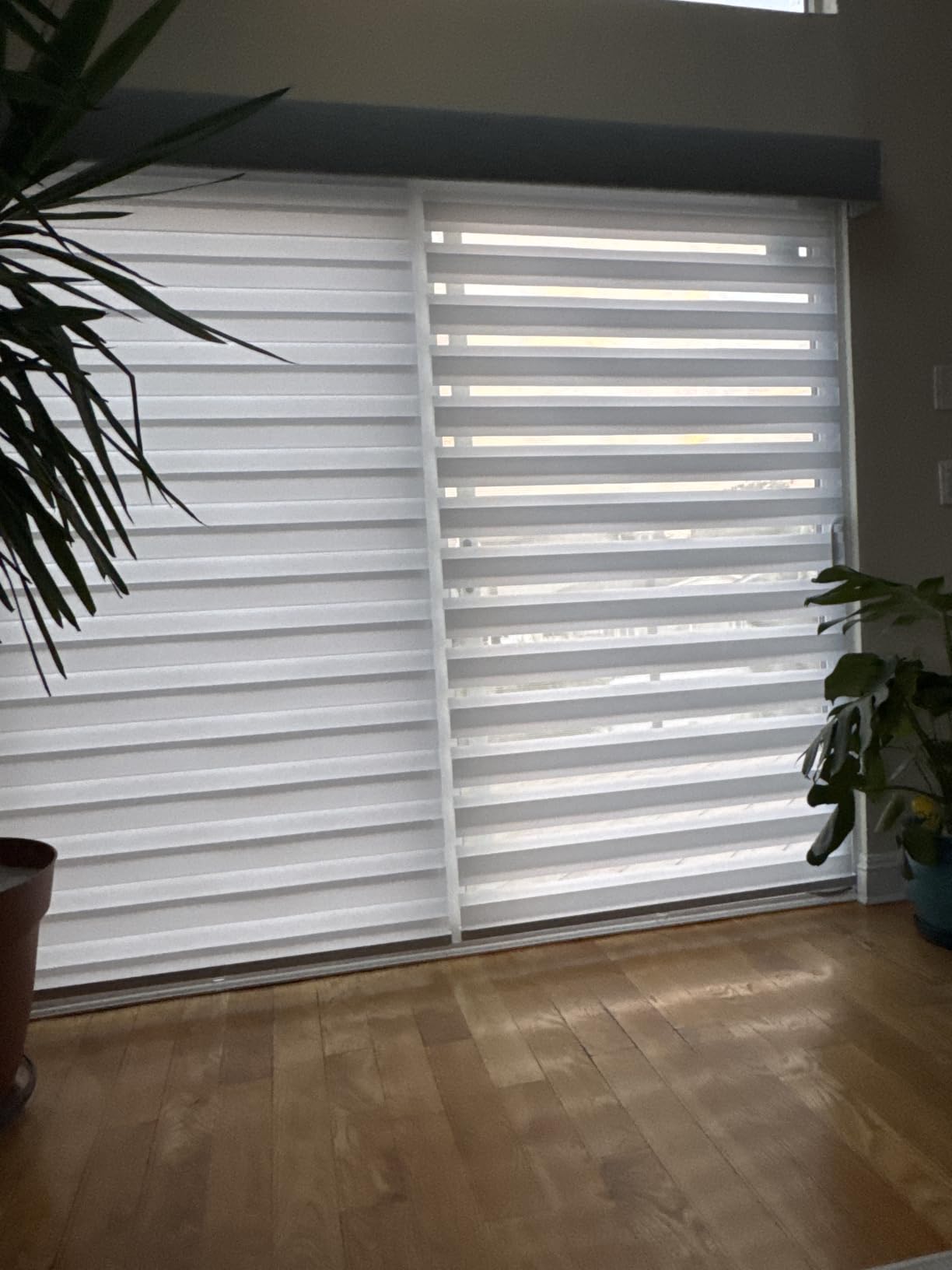 Persilux Custom Size Cordless Zebra Blinds for Windows Free-Stop Roller Windows Shades Dual Layer Light Control for Day and Night, Light Filtering Sheer Shades for Home White customer photo 2