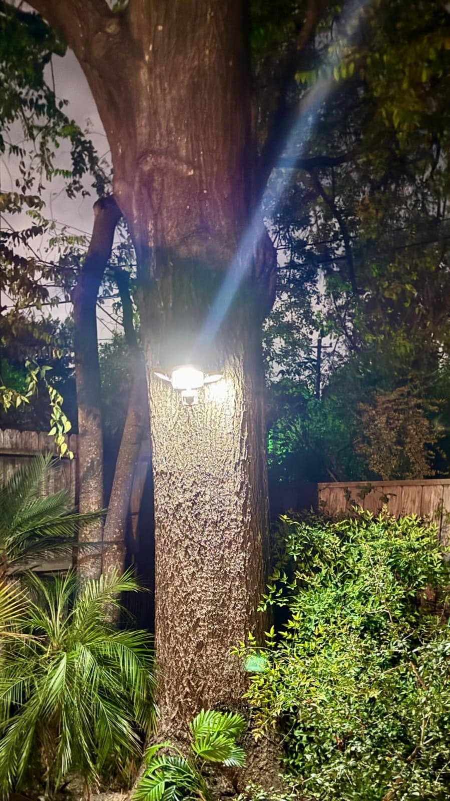 LEPOWER 1500LM Battery Powered Outdoor LED Flood Light with Motion Sensor | IP65 Waterproof, Wireless Battery Operated Security Lights, 3 Head Motion Detector Light for Garage, Yard, Porch, Driveway - Black customer photo 2