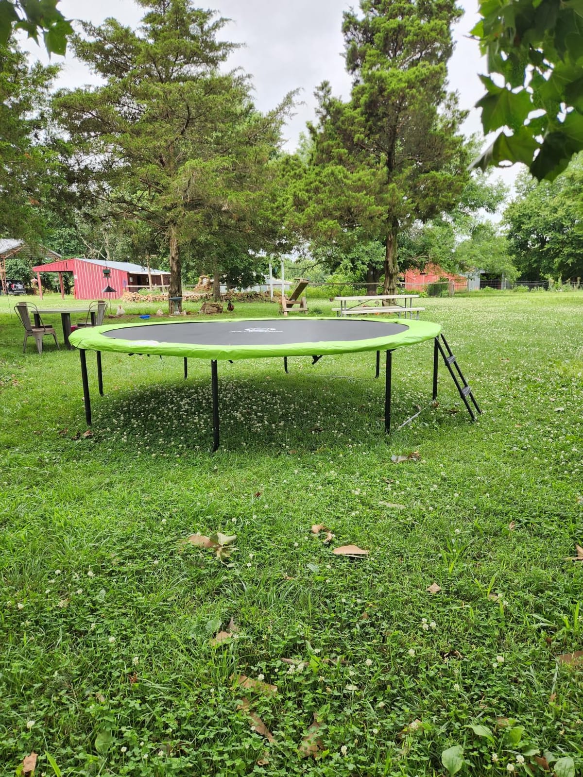 Jumpzylla Outdoor Trampoline with Net for Kids 8FT 10FT 12FT 14FT 15FT 16FT | ASTM-compliant trampoline with enclosure, non-slip ladder, rust-resistant galvanized steel frame, 8FT-16FT for kids & adults customer photo 1