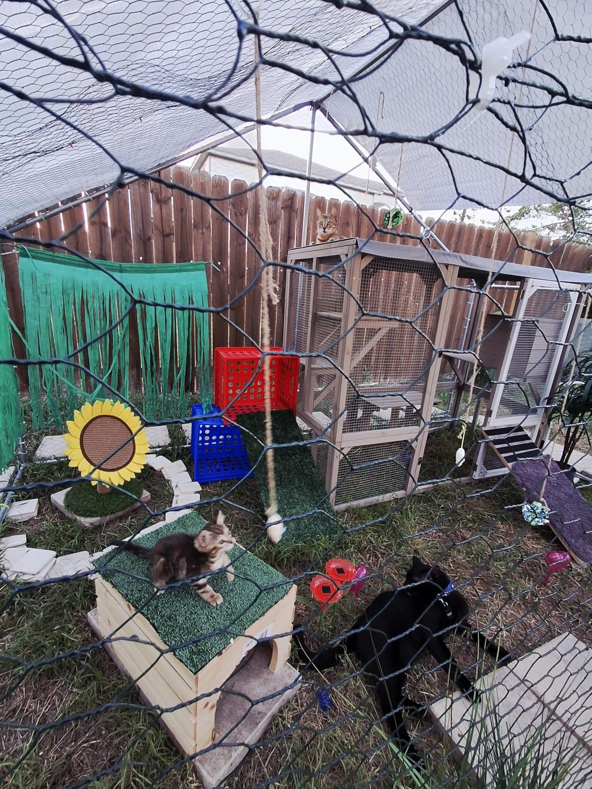 Large Metal Chicken Coop Round Top Upgrade Tri-Supporting Wire Mesh Chicken Run,Chicken Pen with Water-Resistant and Anti-UV Cover,Duck Rabbit House Outdoor (6.6'L x 9'W x 6.5'H) customer photo 1