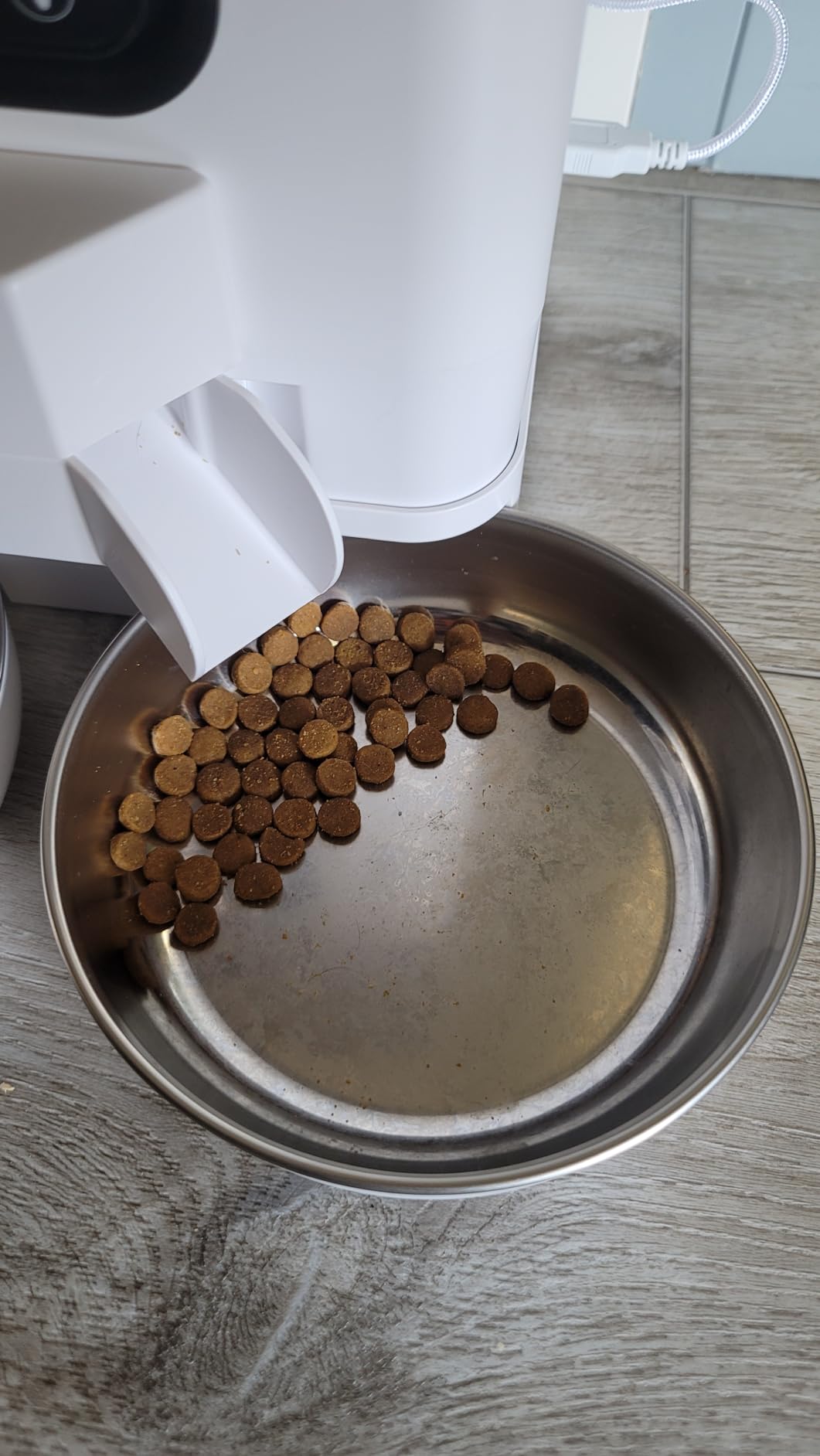 VOLUAS Automatic Cat Feeder for Two Cats with Dual Stainless Bowls, 6L | Programmable Portion Control, Timed Feeding, Memory Function, Dual Stainless Steel Bowls, 10-Second Voice Recorder customer photo 1
