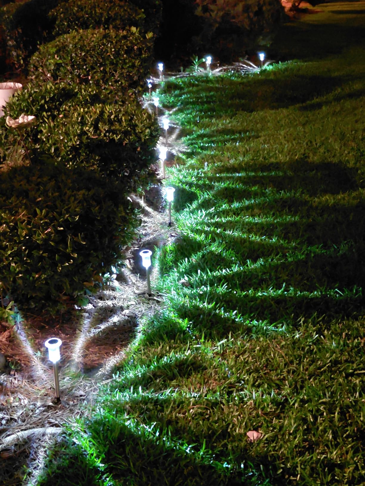 DenicMic Solar Lights Outdoor Waterproof 10 Pack Pathway Lights Cool White | Stake Lights for Yard Garden Driveway Walkway Outside Landscape Path Lights, Auto On/Off 6000K LED, Stainless Steel Pole customer photo 2