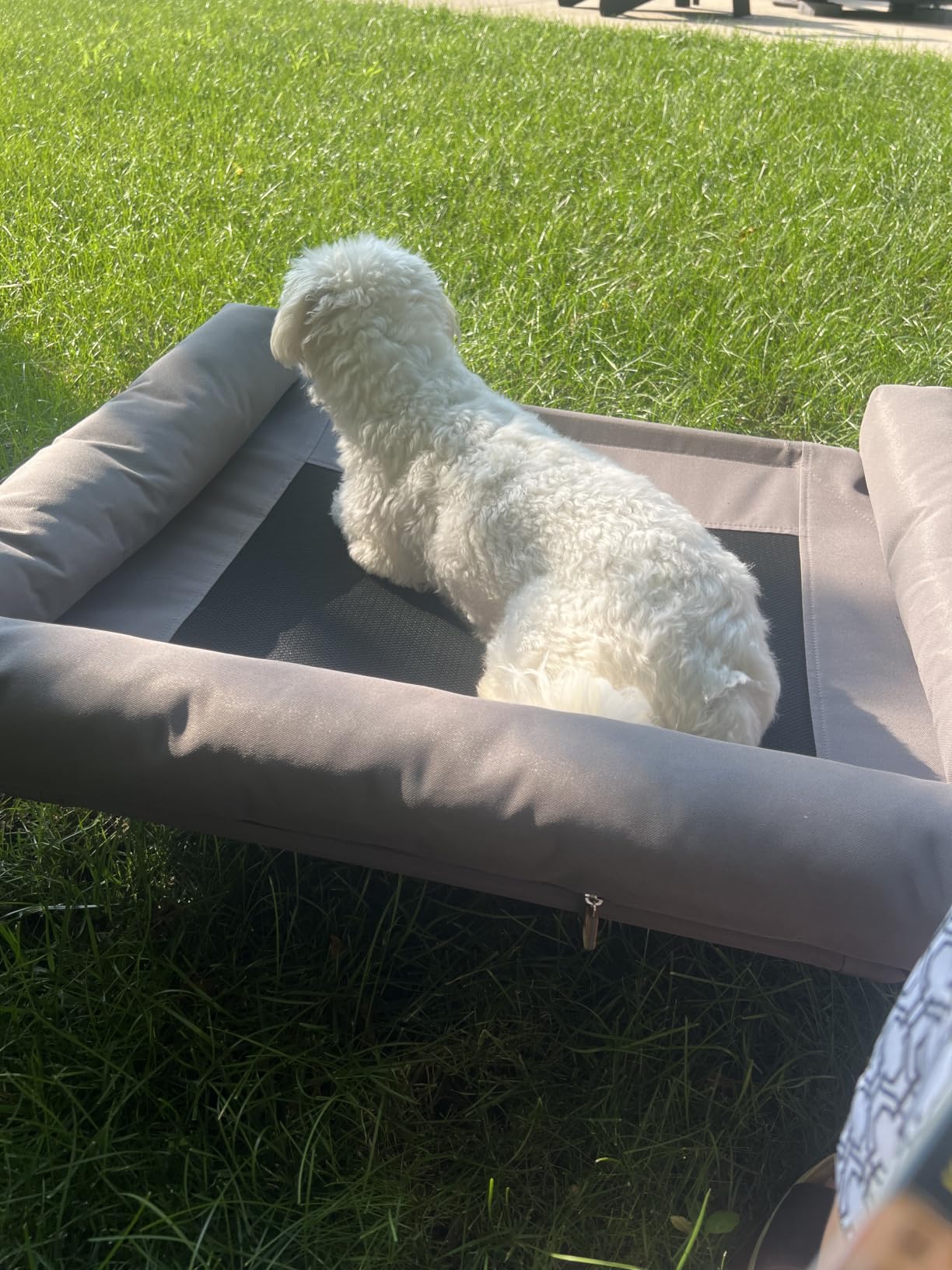 K&H Outdoor Elevated Dog Bed, Bolster Pet Cot, Medium 32x25in, Charcoal - Washable Mesh Center Hammock with Removable Washable Bolsters, Indoor / Outdoor Dog Bed customer photo 2