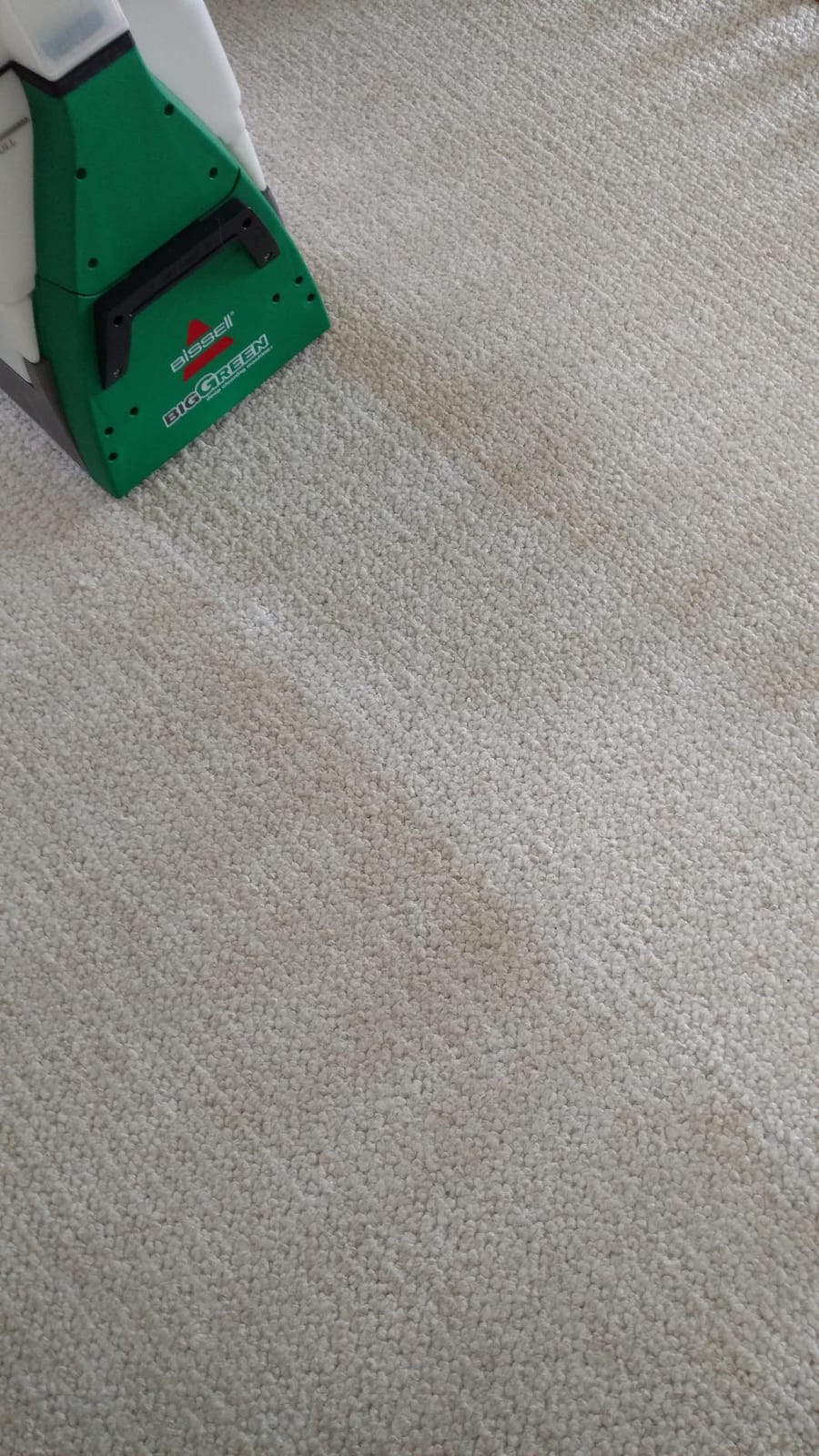 BISSELL Big Green PET PRO Carpet Cleaner, XL DirtLifter PowerBrush | 8-row PowerBrush; 9-in. hose; 2 upholstery tools; Pet Pro Oxy Urine Eliminator Formula included customer photo 2