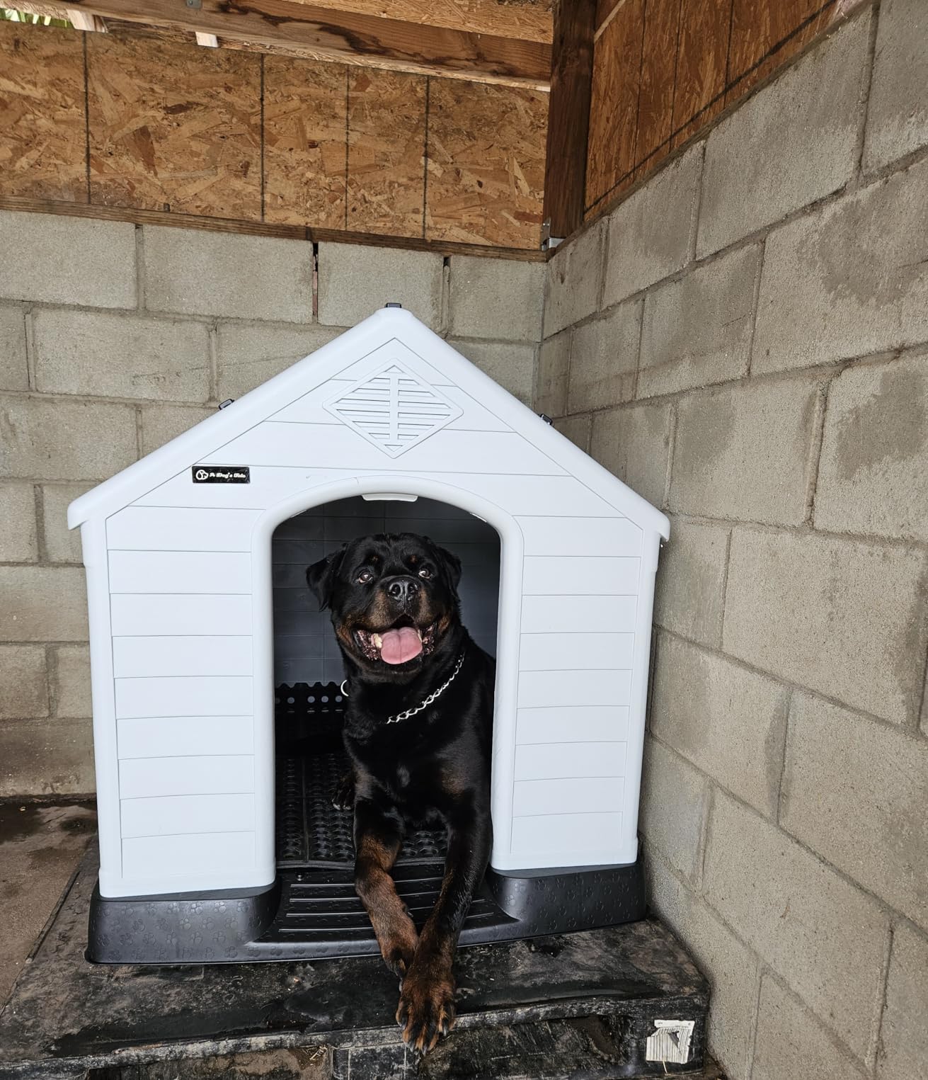 LEMBERI Large Dog House, Indoor/Outdoor, Gray 38.8