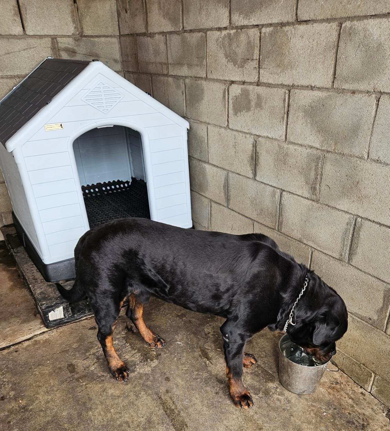 LEMBERI Large Dog House, Indoor/Outdoor, Gray 38.8