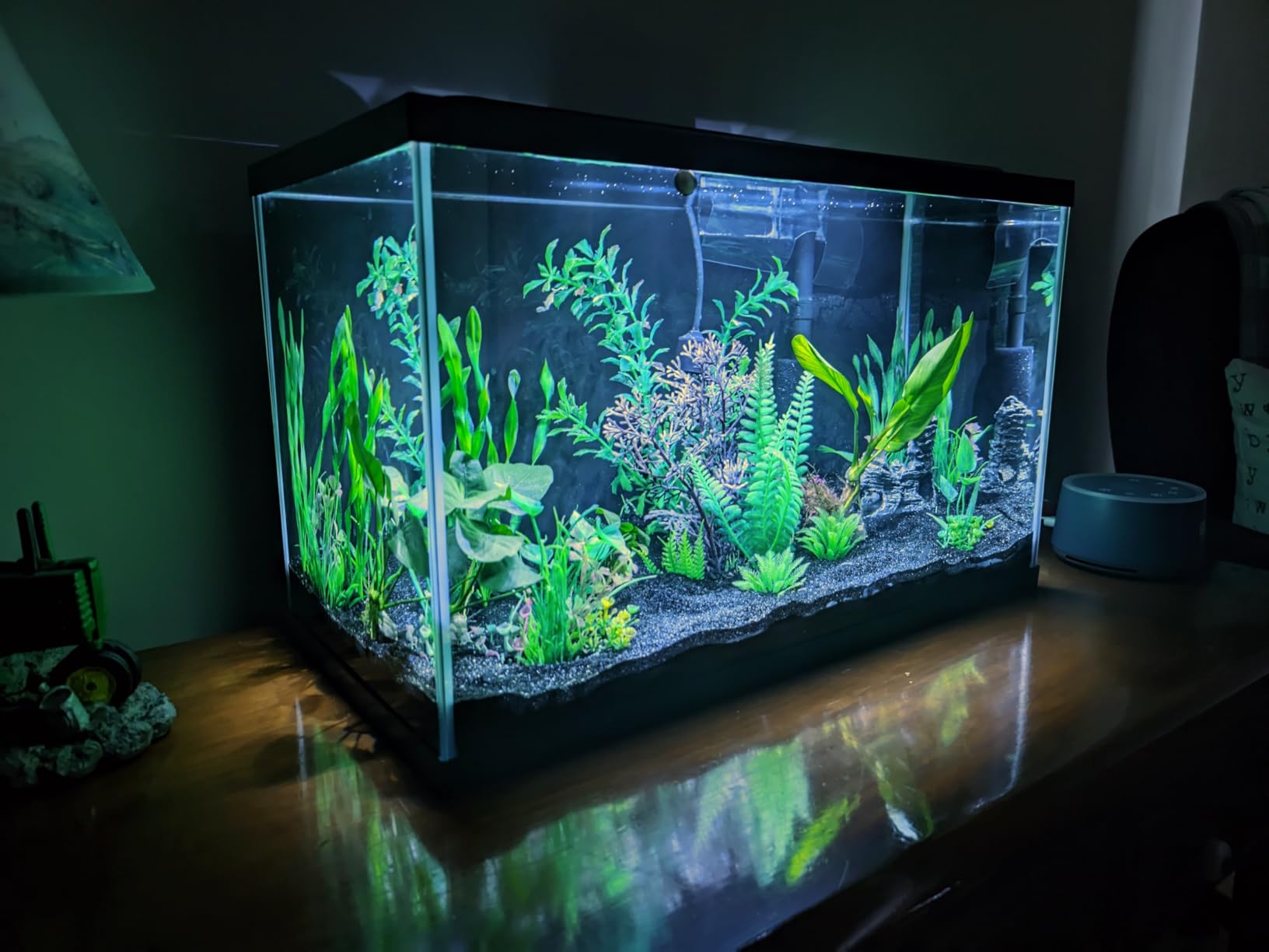 Tetra LED 10 Gallon Complete Fish Tank Kit customer photo 1