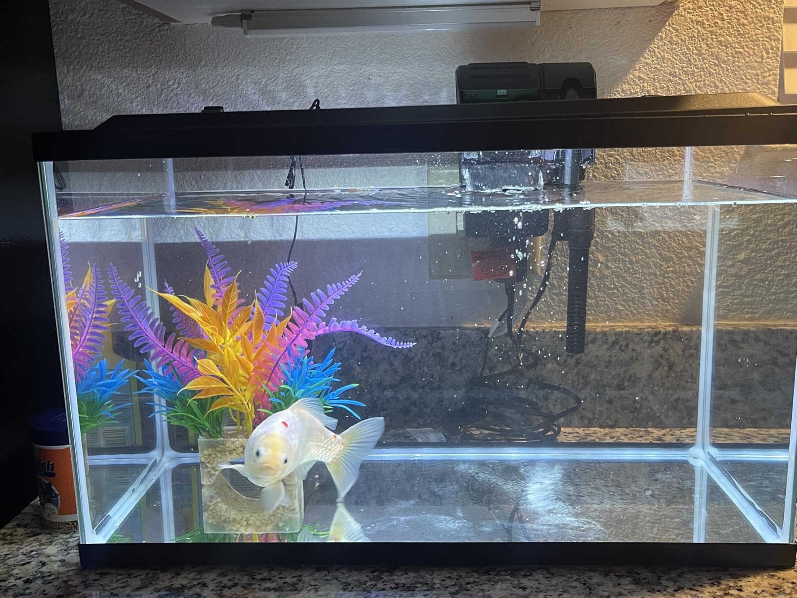 Tetra LED 10 Gallon Complete Fish Tank Kit customer photo 2