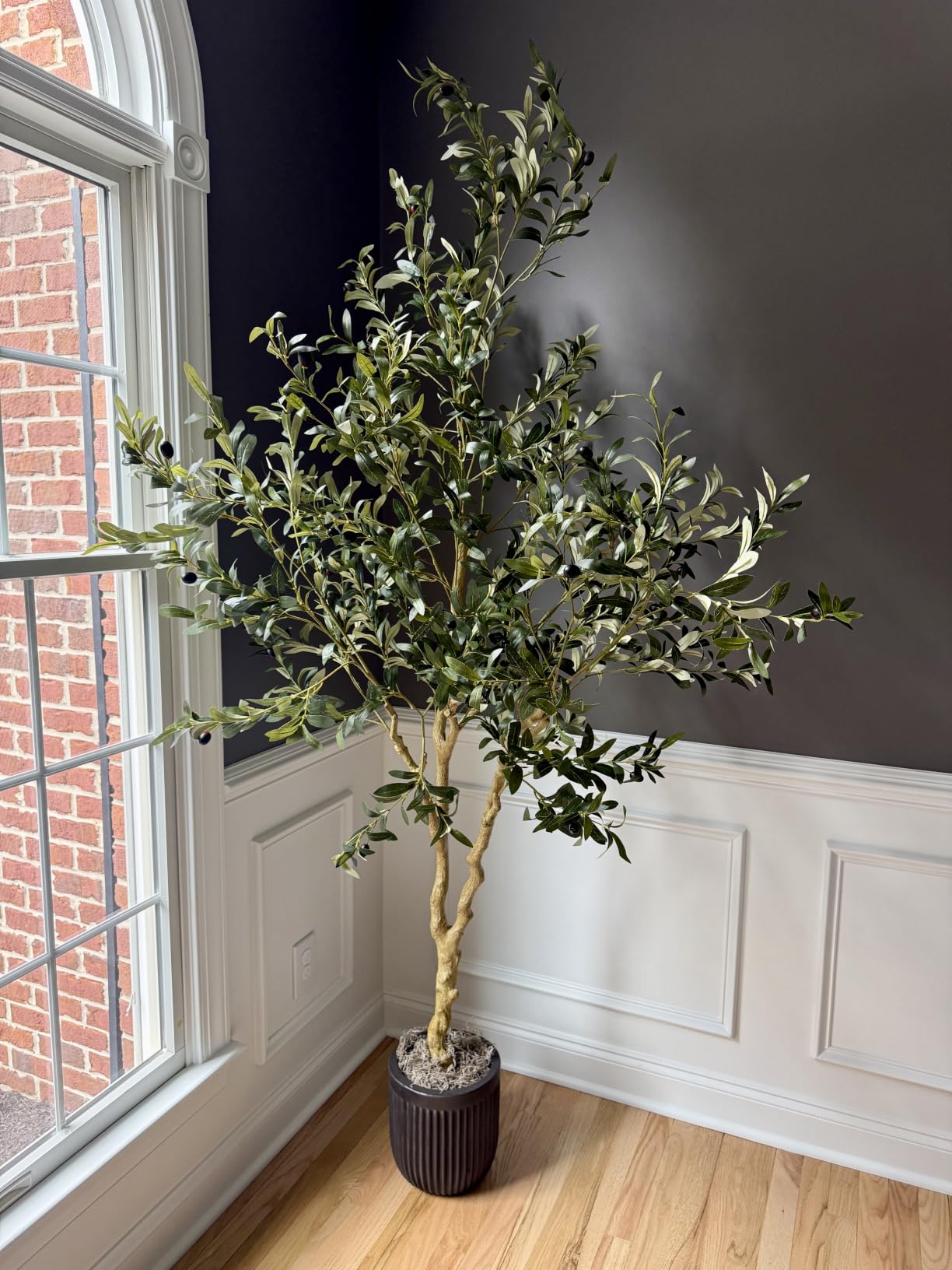 6ft Olive Trees Artificial Indoor with Realistic Appearance | Tall Faux Olive Tree with Natural Trunk, Lifelike Leaves, Sturdy Base - Fake Olive Trees for Modern Home Office Decor customer photo 2