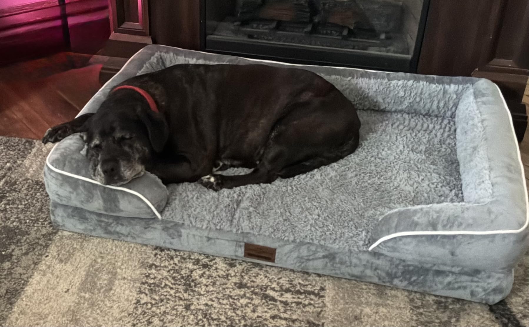 Comfort Expression Waterproof Orthopedic Dog Bed for Extra Large Dogs | Supportive Egg Crate Foam XL Pet Bed with Removable Bolster, Dog Couch with Washable Cover & Non-Slip Bottom, 42x30 Inch customer photo 1