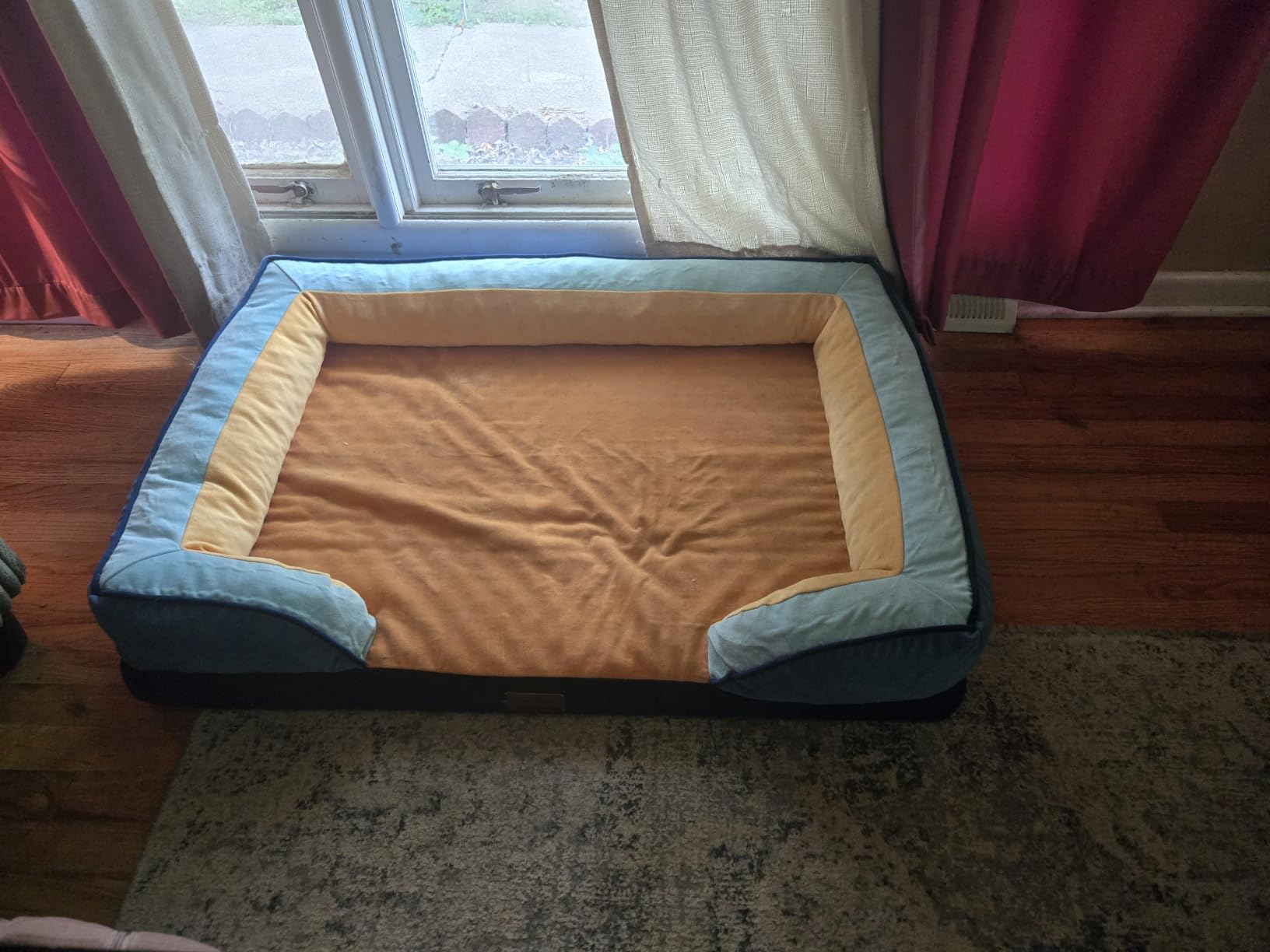 Comfort Expression Waterproof Orthopedic Dog Bed for Extra Large Dogs | Supportive Egg Crate Foam XL Pet Bed with Removable Bolster, Dog Couch with Washable Cover & Non-Slip Bottom, 42x30 Inch customer photo 2