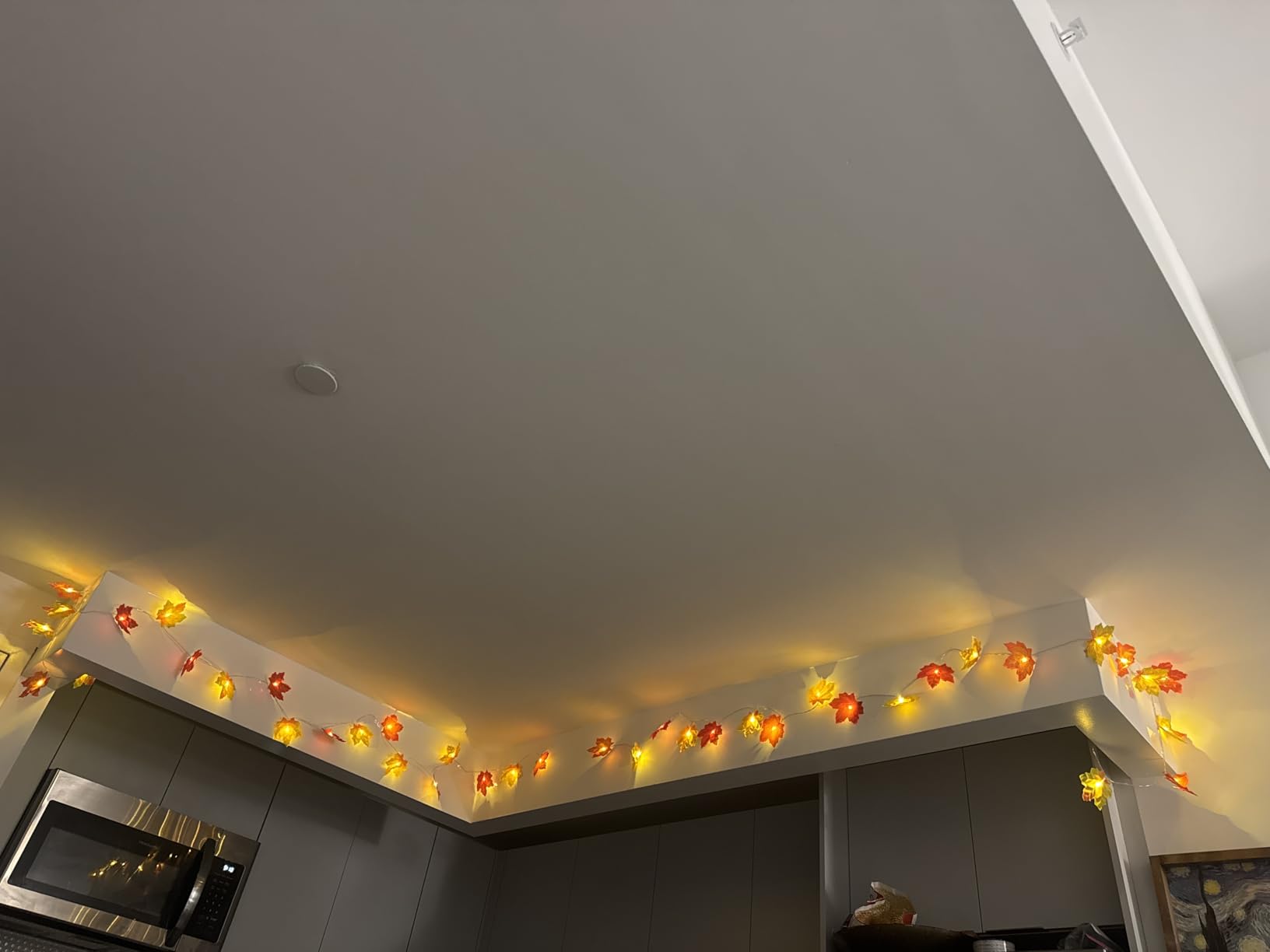 Runleo 2 Pack Fall Decorations for Home Maple Leaf Lights Total 20ft 40 LED | Multicolored Battery Operated Fall Leaves Garland with Light String Autumn Harvest Table Indoor Halloween Thanksgiving Decor customer photo 1