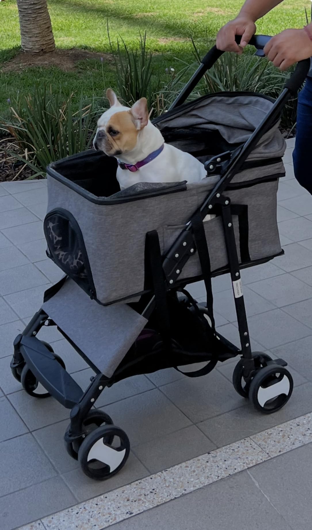 BestPet | 4-Wheel Foldable Pet Stroller | Grey | Lightweight & Portable | Detachable Travel Carrier with Mesh Windows, Storage Basket, Safety Brakes, and Waterproof Fabric | For Small Dogs and Cats customer photo 1