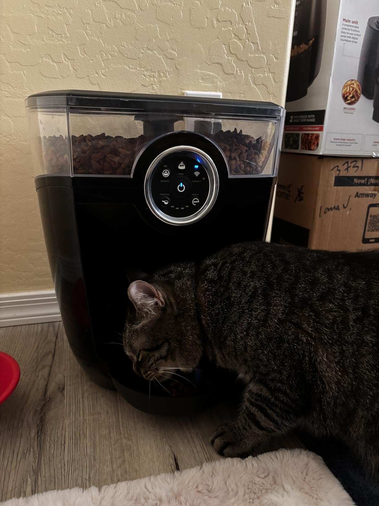 Whisker Feeder-Robot, Black with Smoke-Grey Hopper | Smart, Automatic Pet Feeder, Feed Your Cat or Dog from Anywhere, Designed & Assembled in USA customer photo 1