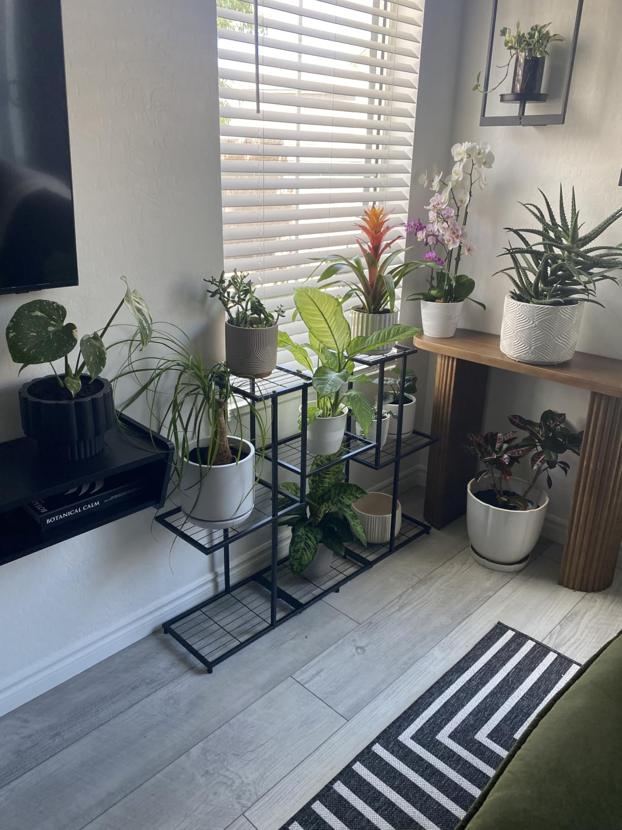 Twhep Heavy Duty Metal Plant Stand, large Multifunctional Plant Stand for Indoor Outdoor, for Tall Large Rack for Living Room Garden Balcony, Black(9 Tier) customer photo 2