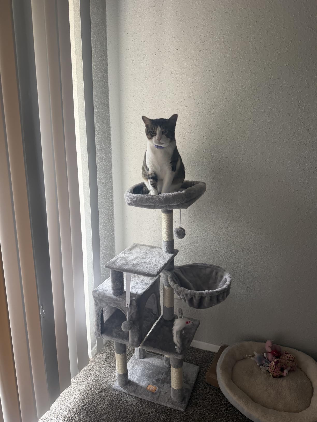 Heybly Cat Tree with Toy, 43.3 inch Cat Tower for Indoor Cats HCT004SG, Smoky Gray customer photo 2