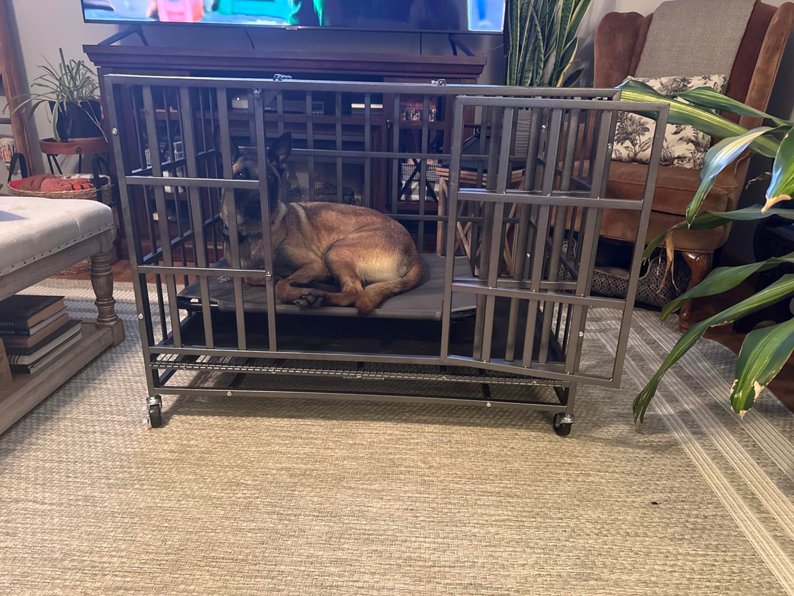 Hiwokk 48 Inch Heavy Duty Dog Crate, Indestructible Kennel for Large Dogs | 38-96