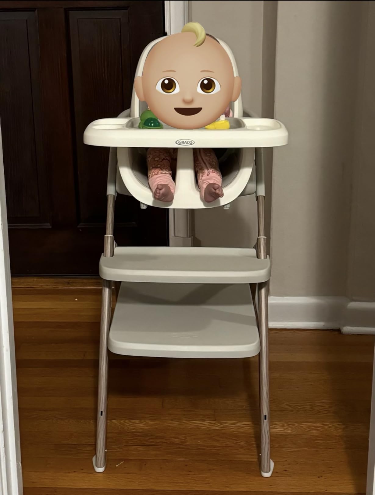 Graco EveryStep 6 in 1 High Chair, Babies and Toddlers Portable Slim High Chair with 6 Growing Stages from Infant to Toddler Seating, Convenient for Dining Time, Featured Design in Misty customer photo 1