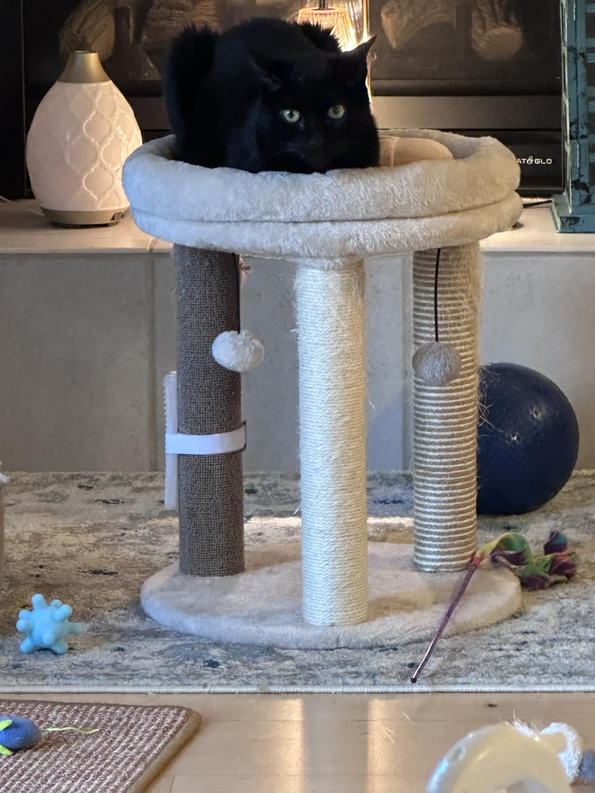 MECOOL 4in1 Small Cat Tree, Scratching Post with Tower Soft Bed, Sisal Carpet Jute Posts with Three Hanging Ball Toys and Massage Brush for Indoor Cats and Kittens customer photo 2