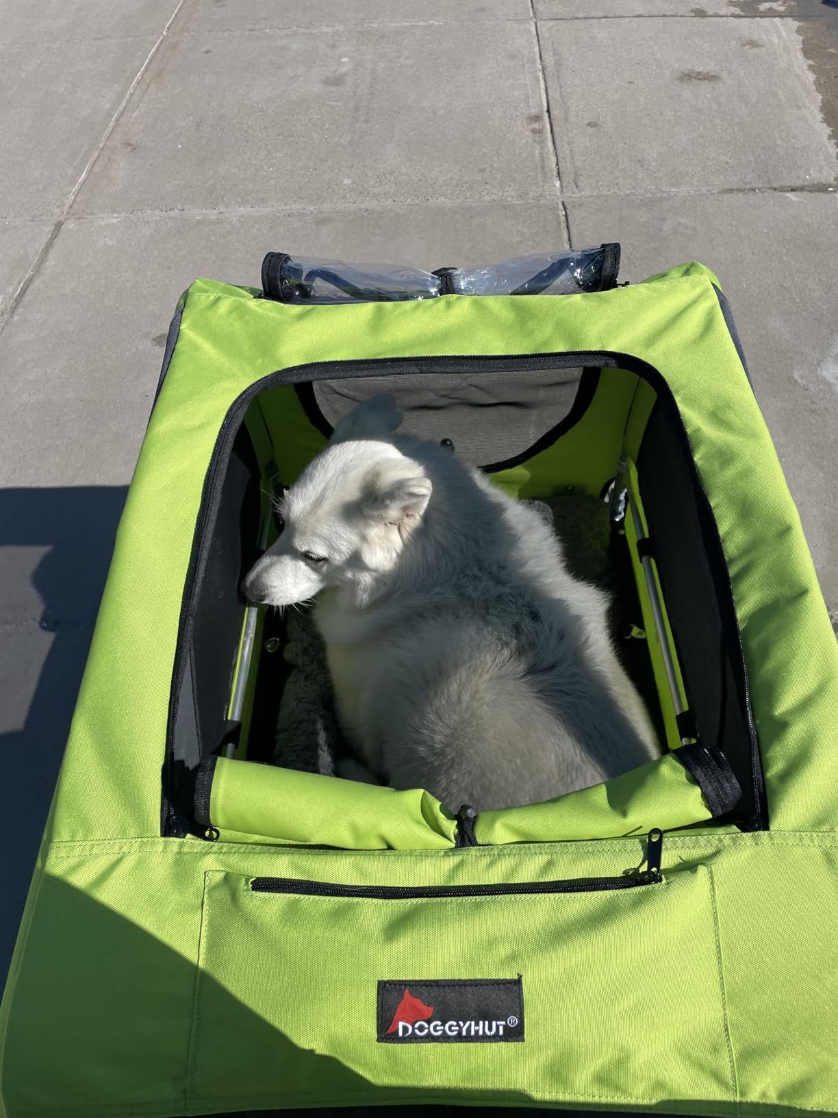 DOGGYHUT Premium X Large Pet Bike Trailer Up to 100 lbs (Gray) | Bicycle Trailer for Small Medium or Large Dogs, Dog Bicycle Carrier, Low Center of Gravity, Folding Frame Cart customer photo 1