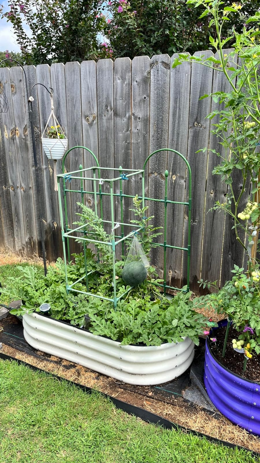 SnugNiture Galvanized Raised Garden Bed, 4x2x1ft Oval Metal Planter Box for Planting Outdoor Plants Vegetables customer photo 1