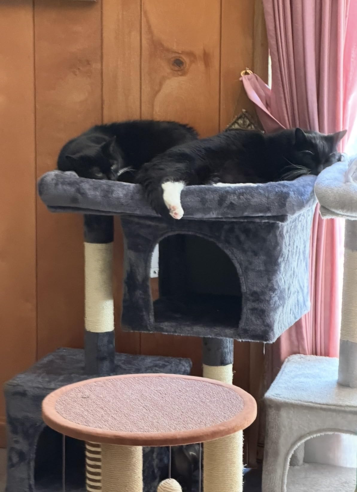 Feandrea Cat Tree, 26.4-Inch Cat Tower, Plush Condo for Kittens up to 7 lb, Large Perch, 2 Caves, Scratching Post, Light Gray UPCT611W01 customer photo 1