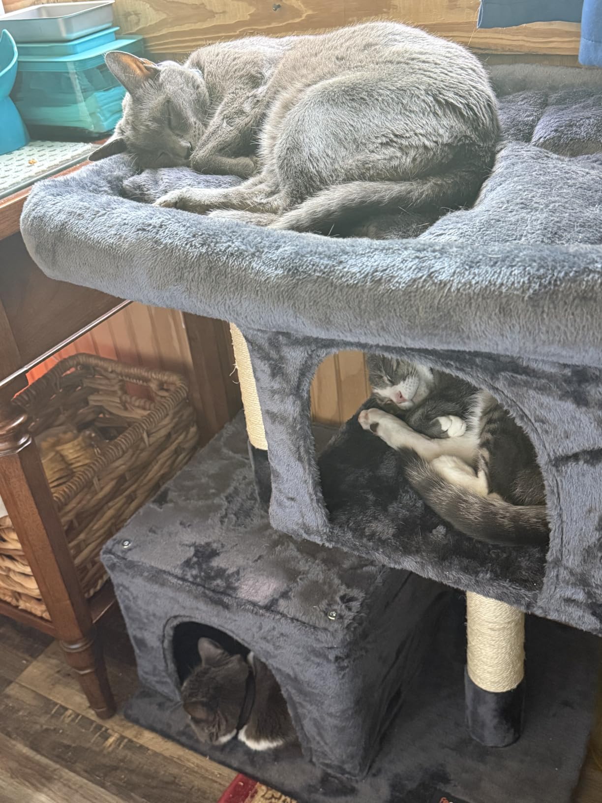 Feandrea Cat Tree, 26.4-Inch Cat Tower, Plush Condo for Kittens up to 7 lb, Large Perch, 2 Caves, Scratching Post, Light Gray UPCT611W01 customer photo 2