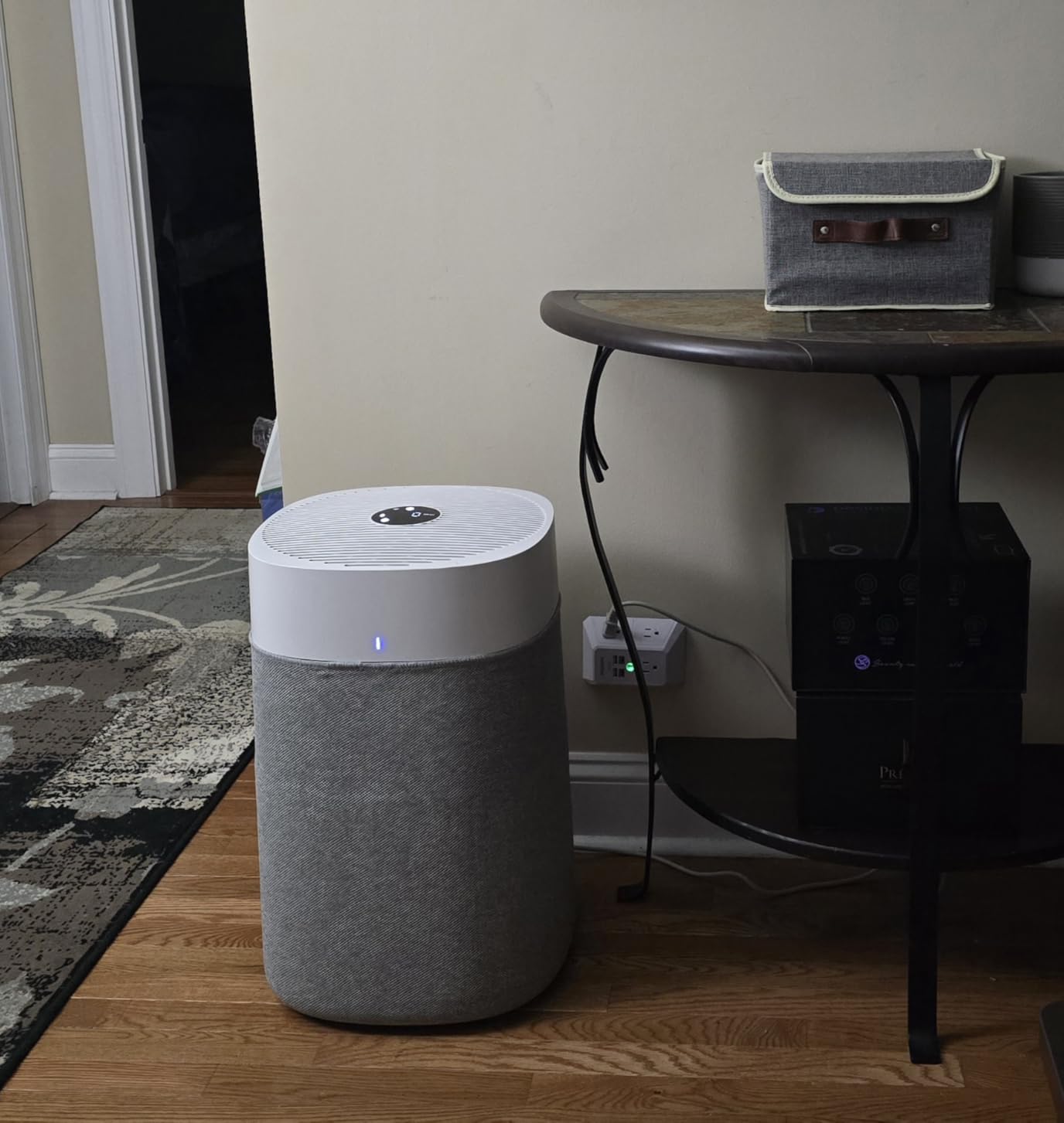 BLUEAIR Blue Pure 211i Max Smart Air Purifier for Large Rooms up to 3,235 Sq Ft customer photo 1