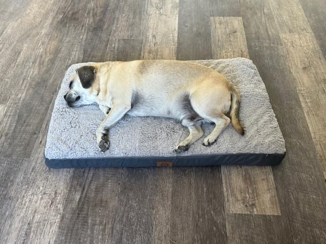 Sunheir Washable Orthopedic Large Dog Bed with Removable Cover, Pet Bed Mat | Big Waterproof Dog Crate Bed, Egg Crate Foam Support, Anti-Slip Bottom, Easy-Clean, Soft Plush Dog Beds Large Sized Dog, Grey customer photo 1