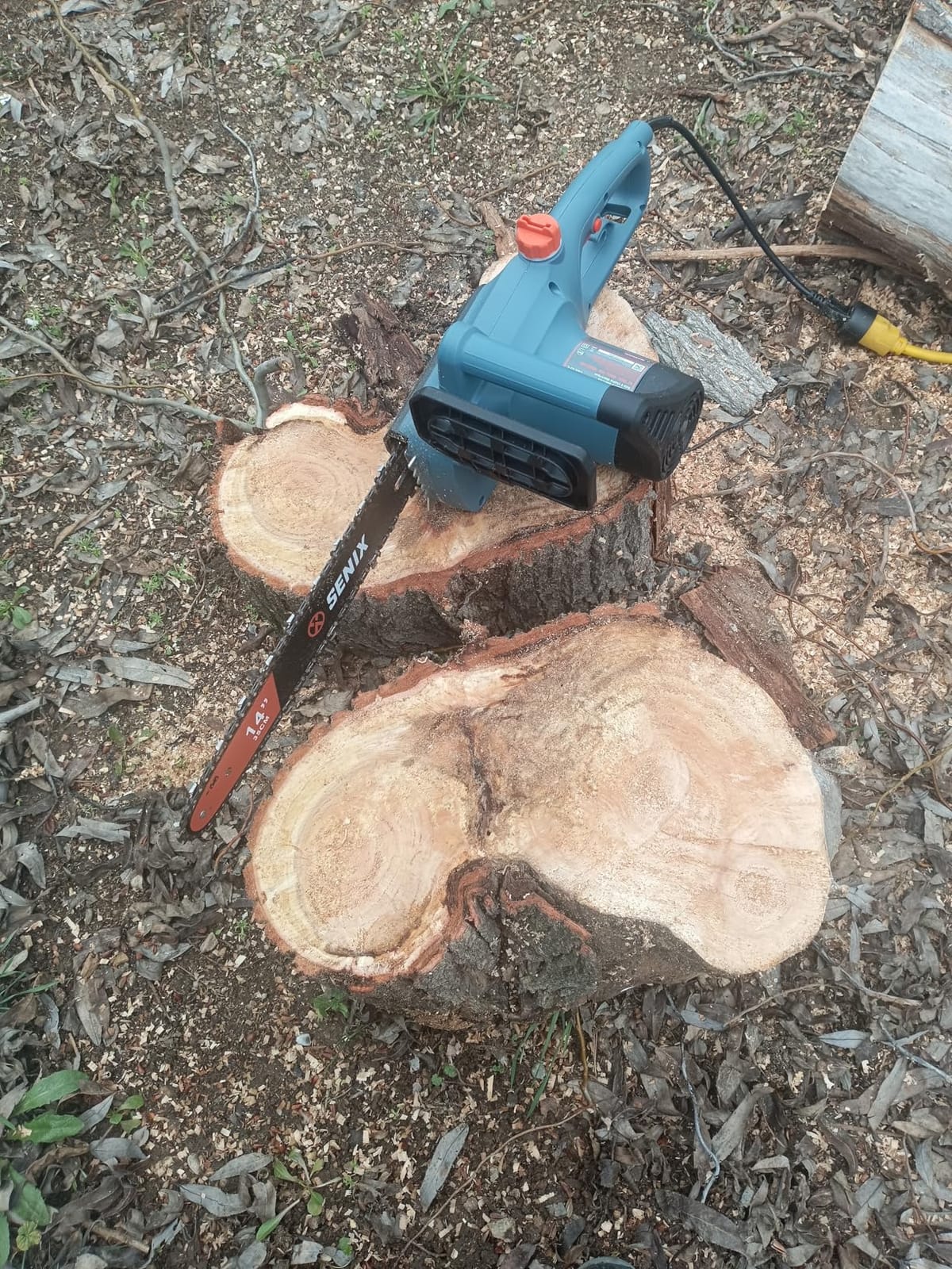 SENIX Electric Chainsaw, 18-Inch Corded Cutting, CSE15-M customer photo 1