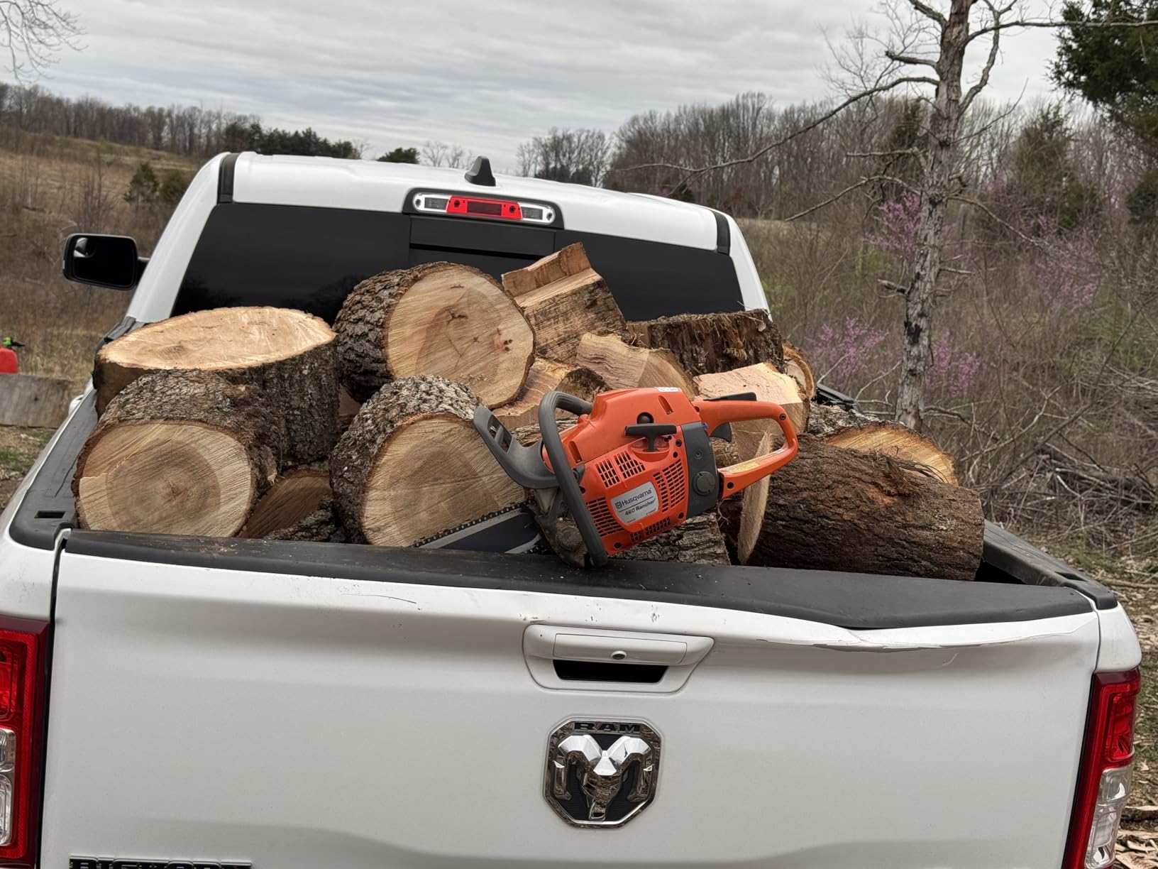Husqvarna 460 Rancher Gas Powered Chainsaw, 60.3-cc 3.6-HP, 2-Cycle X-Torq Engine, 24 Inch Chainsaw with Automatic Adjustable Oil Pump, For Wood Cutting, Tree Trimming and Land Clearing, Gifts For Men customer photo 1