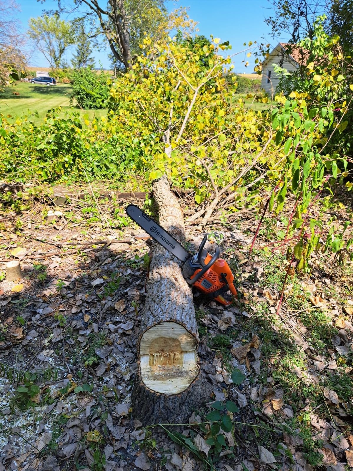 Husqvarna 455 Rancher Gas Chainsaw, 55-cc 3.5-HP, 2-Cycle X-Torq Engine, 20 Inch Chainsaw with Automatic Oiler, For Wood Cutting, Tree Trimming and Land Clearing, Gifts For Men customer photo 2