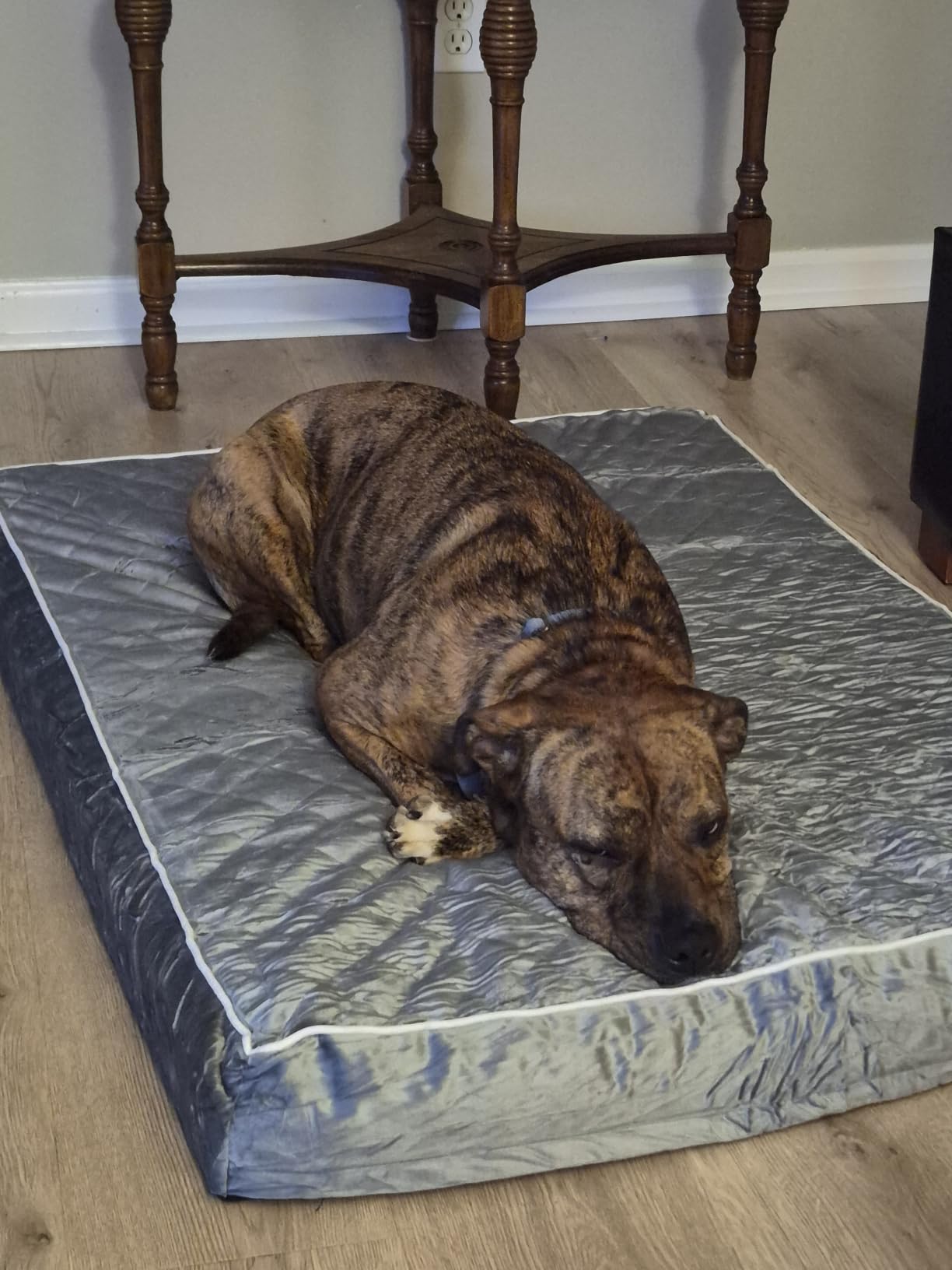 WNPETHOME Orthopedic Waterproof Extra Large Senior Dogs Bed for Comfy Sleep | XL Washable Pet Bed with Removable Cover, Multi-Needle Quilting XL Crate Bed for Large Sized Dog Relax, Light Grey 42x30 Inch customer photo 1