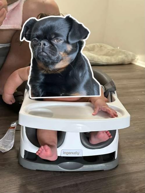 Ingenuity Baby Base 2-in-1 Booster Feeding and Floor Seat with Self-Storing Tray - Mist customer photo 2