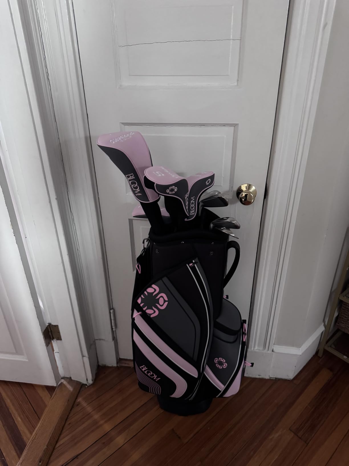 Cleveland Golf Women's Bloom Complete Golf Club Package Set customer photo 1