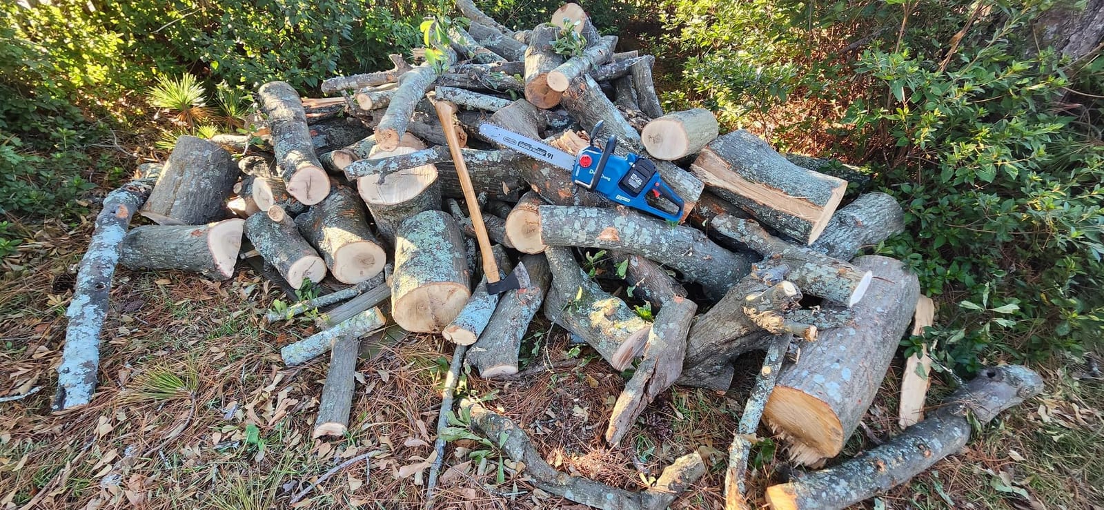 DongCheng 40V 16-Inch Brushless Cordless Chainsaw with 2x4.0Ah Batteries, Gas-Like Power for Tree Felling customer photo 2