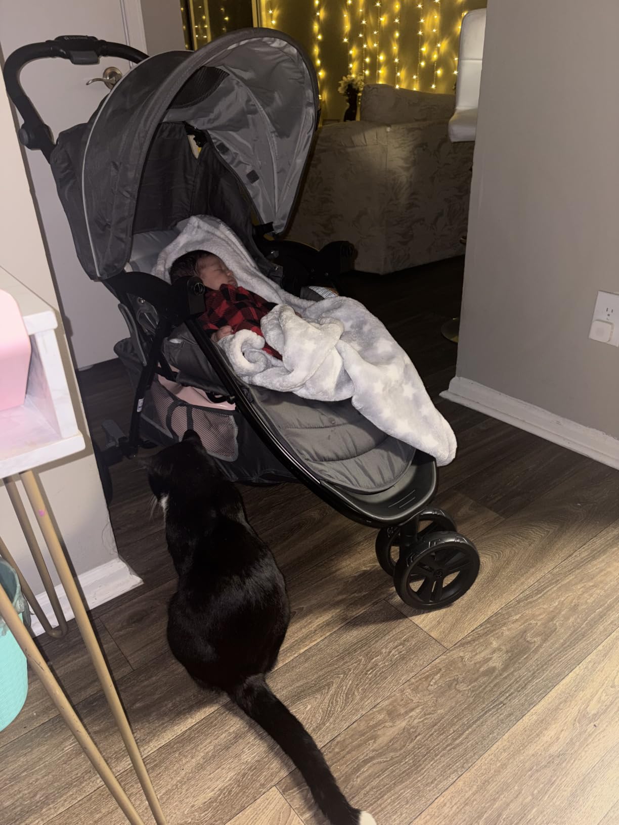 Baby Trend Stroller and EZ-Lift Infant Car Seat, EZ Ride Travel System, Dash Grey customer photo 2