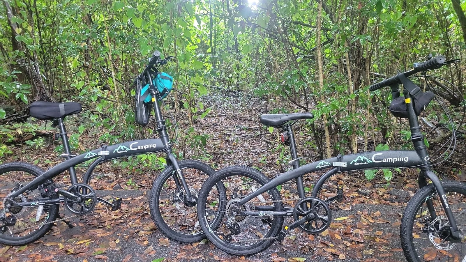 Ktaxon 20 in Folding Bike Adult Foldable Bike, 7-Speed Folding Bicycle customer photo 2