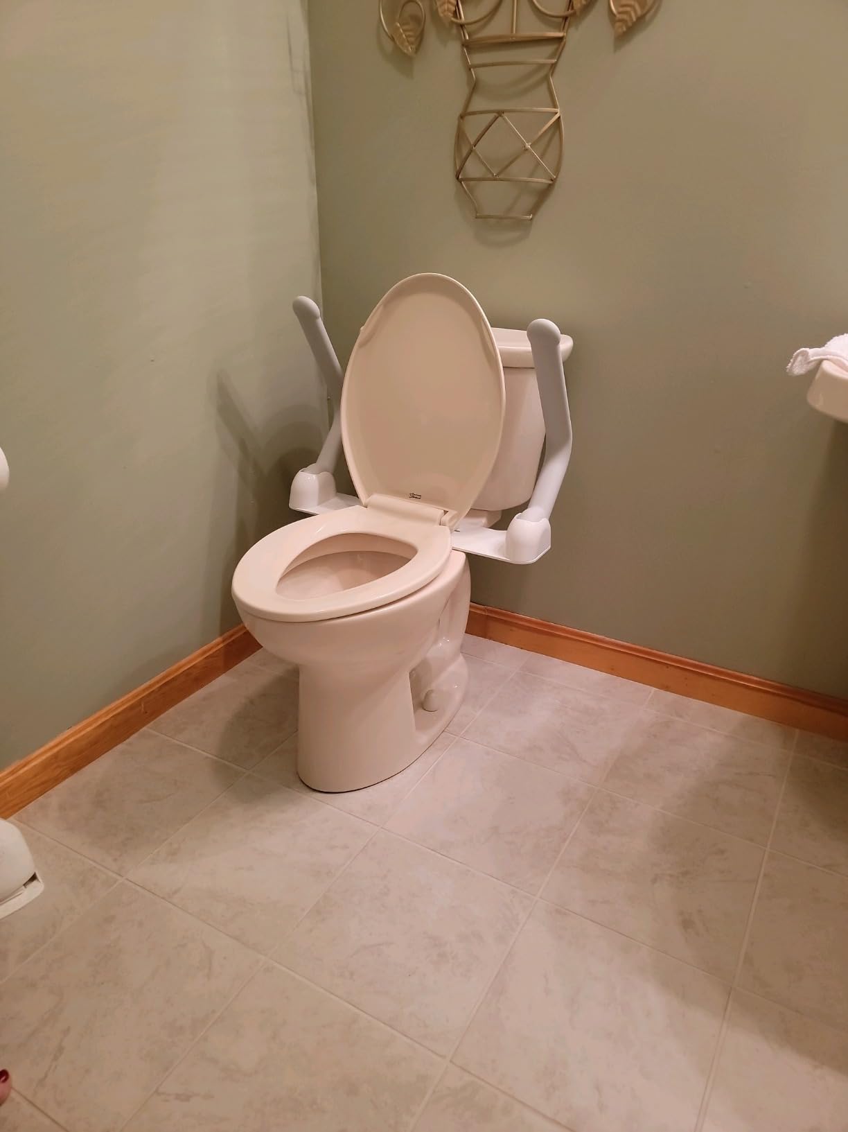 Toilet Safety Rails for Seniors,Easy Installation & Sturdy Handicap Toilet Safety Frame,Seat Handles for Elderly Disabled or Mobility Issues customer photo 2