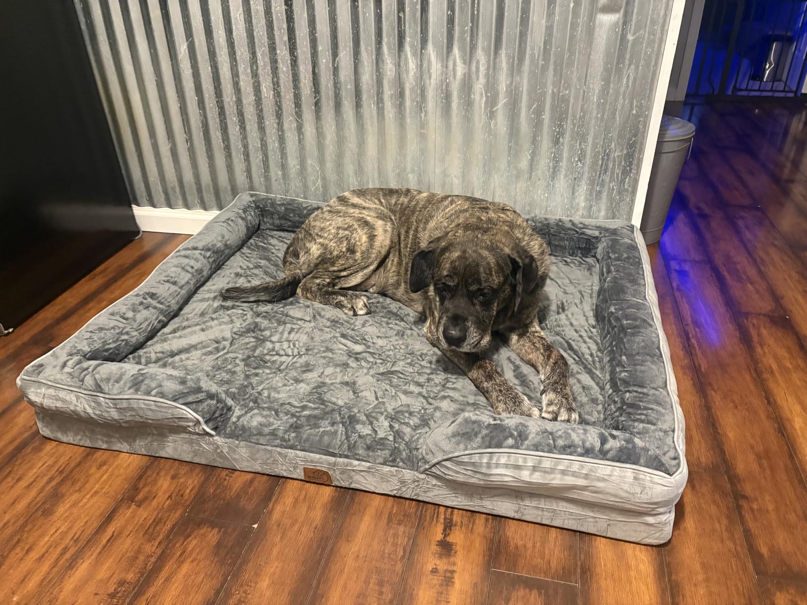 Bedsure L Plus Orthopedic Dog Bed for Large Dogs - Washable Dog Cat Bed Waterproof, L Plus Big Comfort Dogs Couch Sofa with Washable Removable Cover, Pet Bed with Nonskid Bottom, Grey, 38
