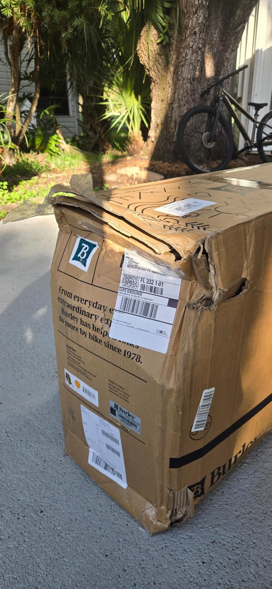 Burley Bee, 1 and 2 Seat, Lightweight, Kids Bike-Only Trailer customer photo 1