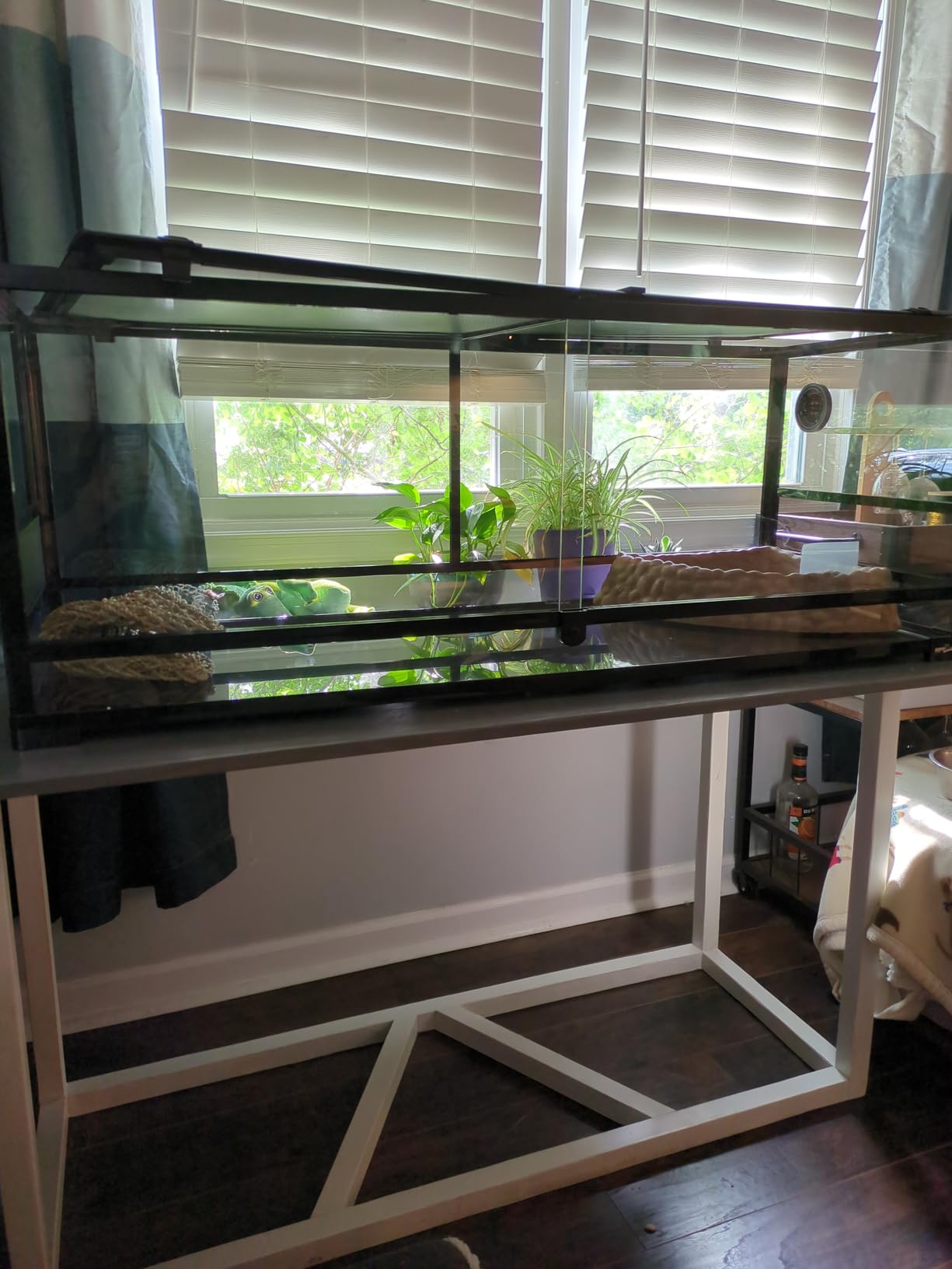 REPTI ZOO Reptile Tempered Glass Extra-Long Terrarium Habitats 48
