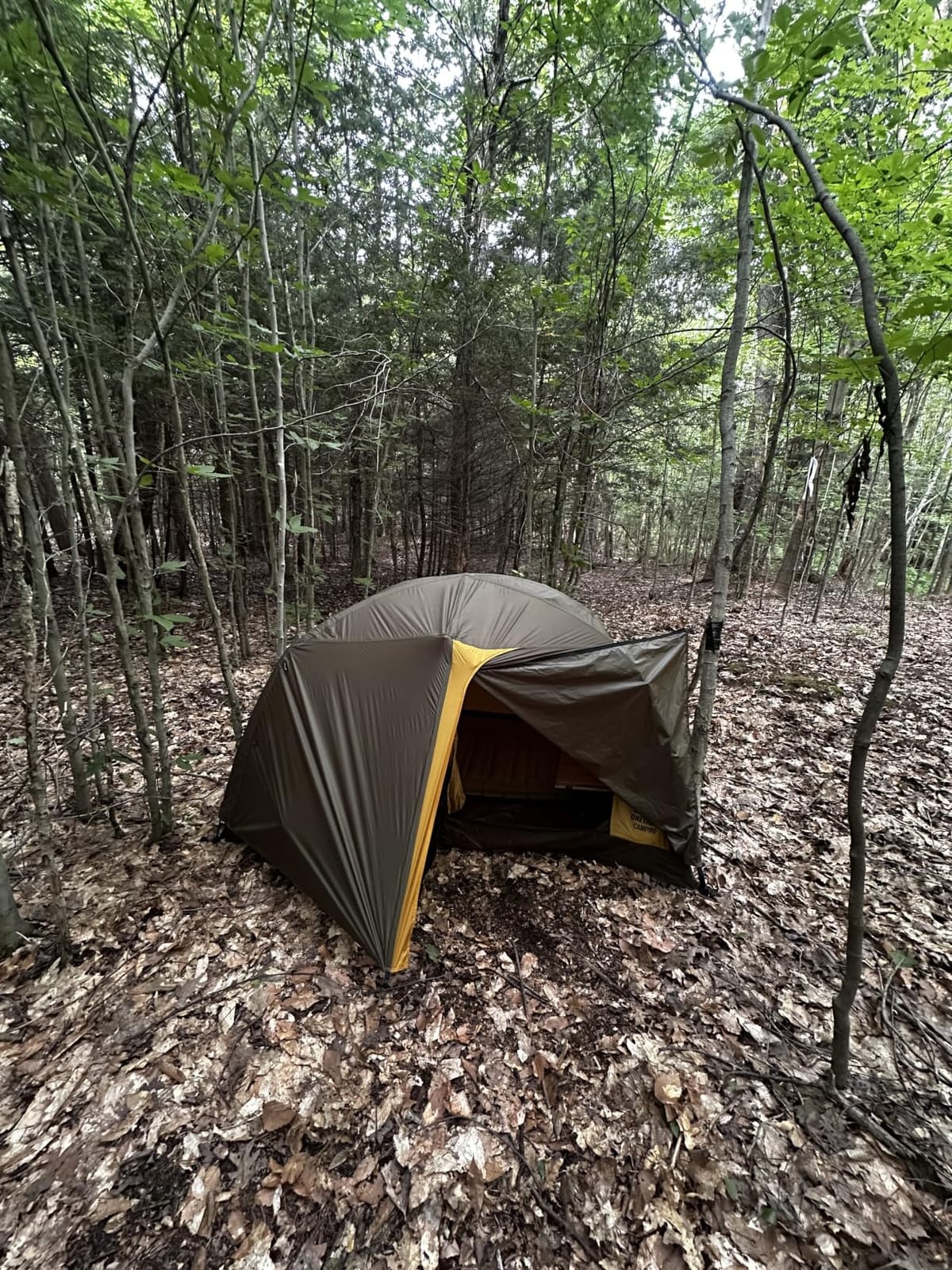 OneTigris Stella 4 Season Camping Tent Backpacking Waterproof Lightweight Easy Setup Instant 3000mm Waterproof Rating Outdoor Hiking Tent customer photo 1